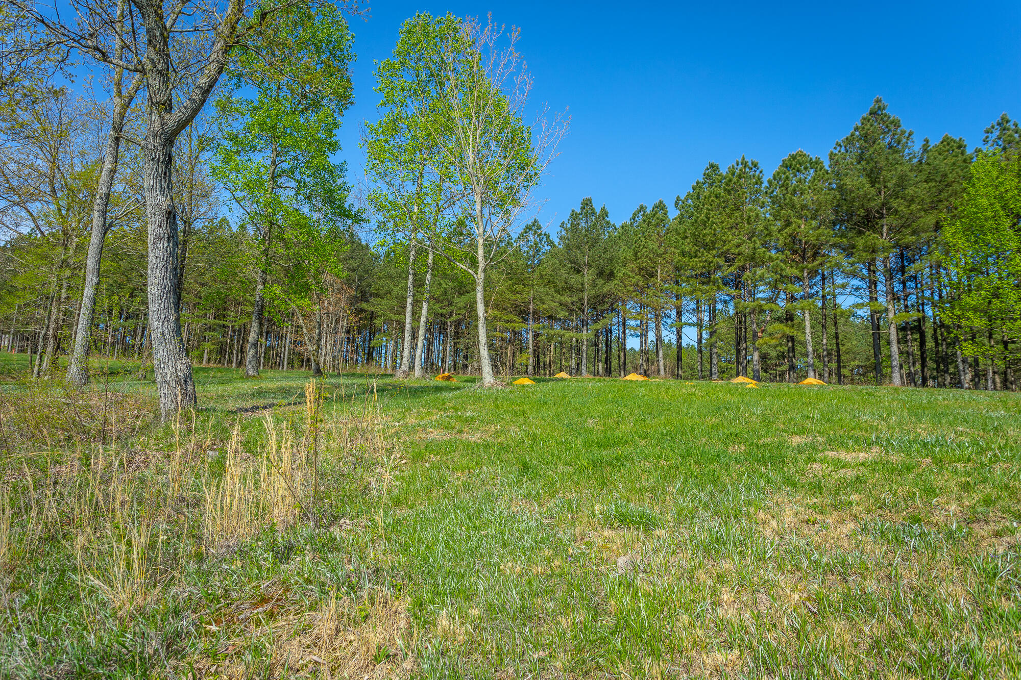 2740 River Bluffs Drive