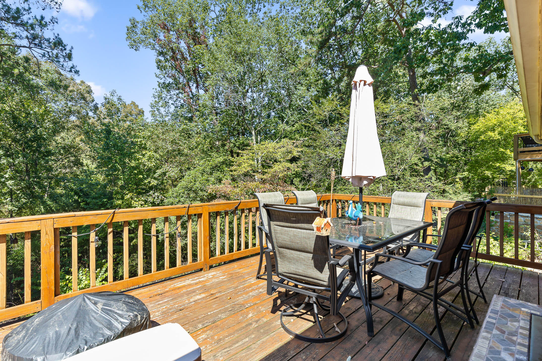 517 Leafwood Drive