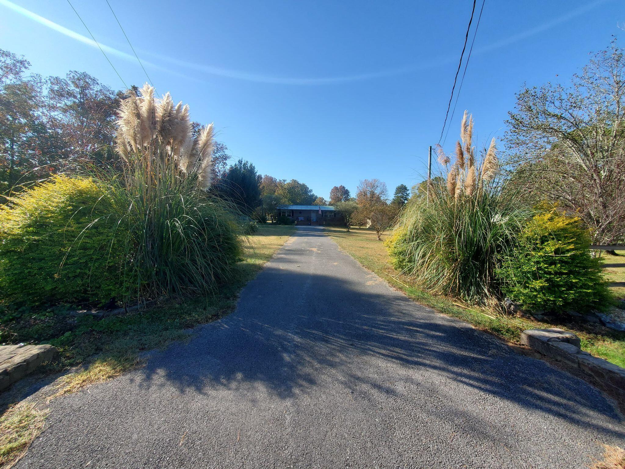253 Halls Mill Road