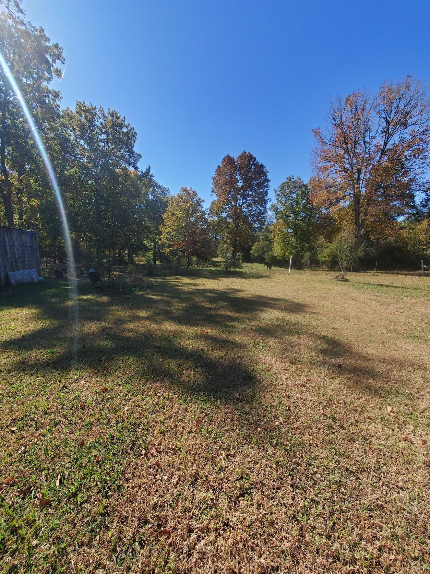 253 Halls Mill Road