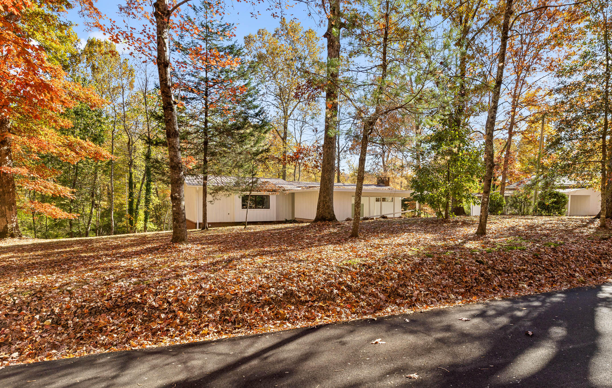5920 Dogwood Drive