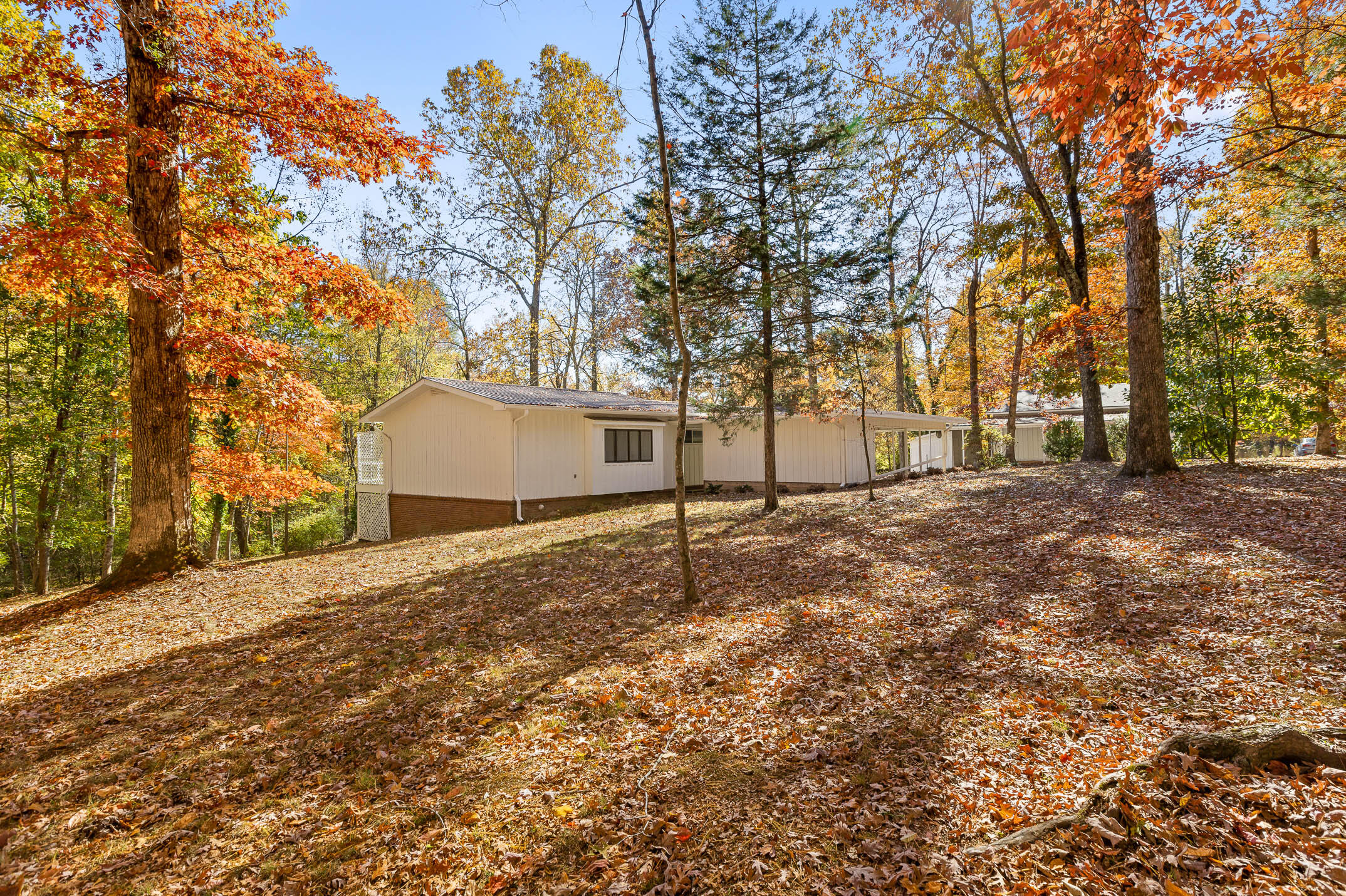 5920 Dogwood Drive