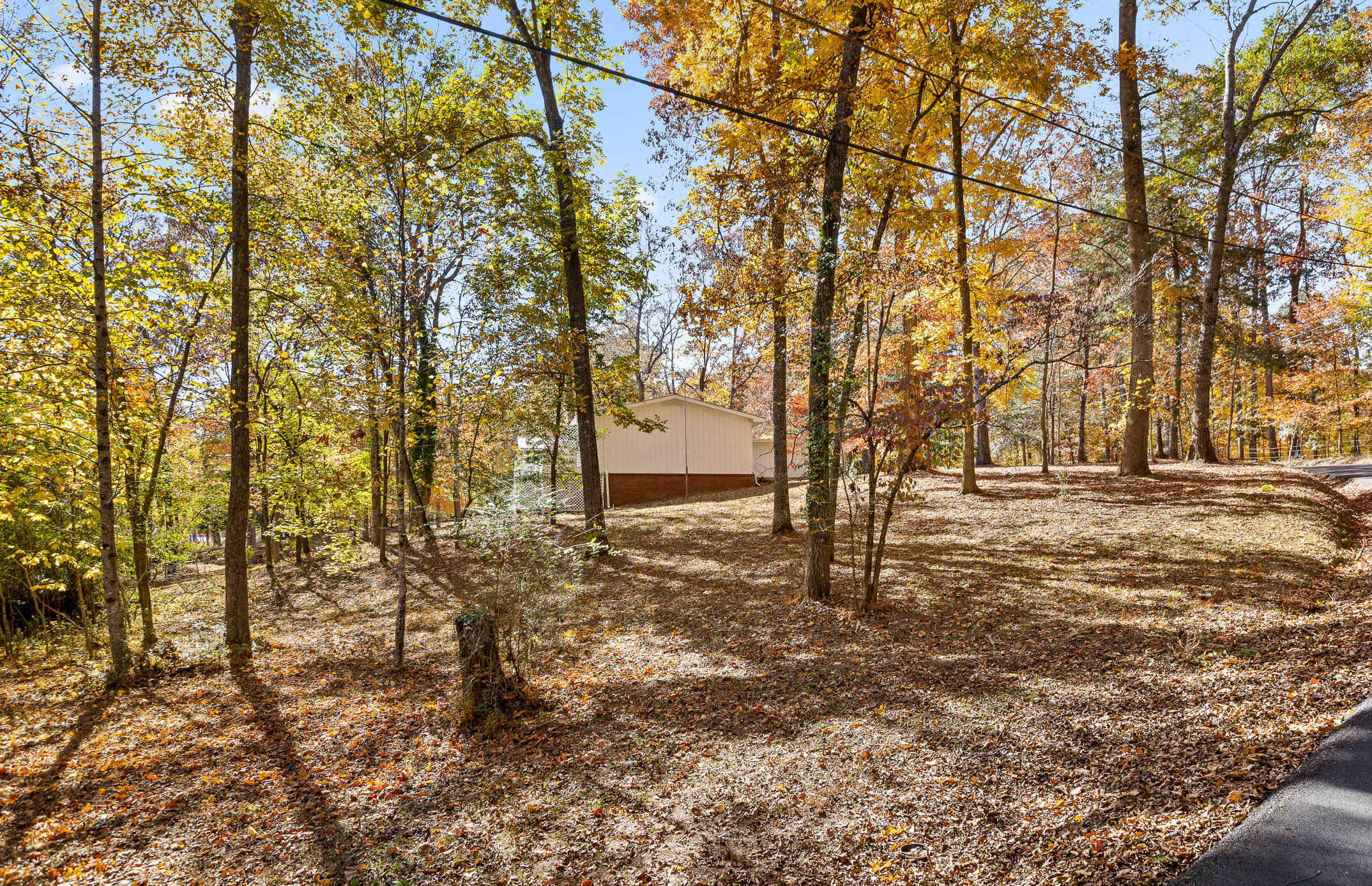 5920 Dogwood Drive
