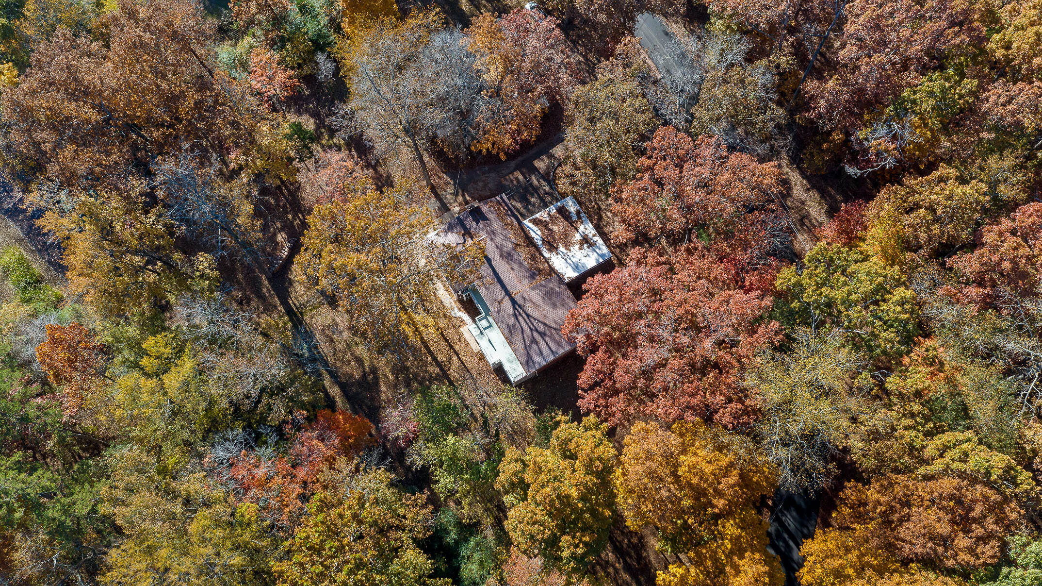 5920 Dogwood Drive