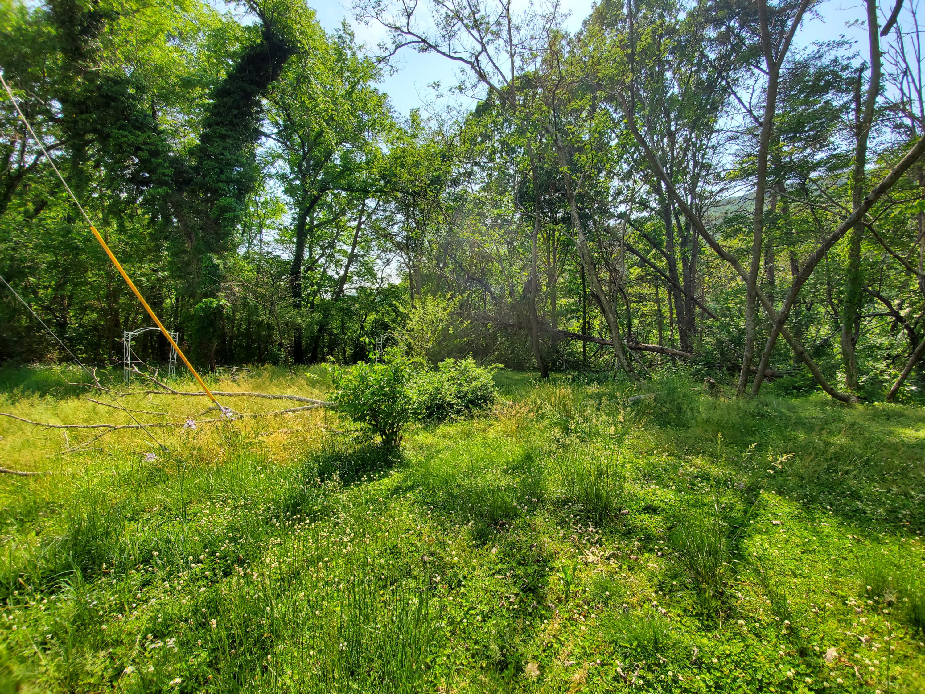 11058 & 62 Loop Road