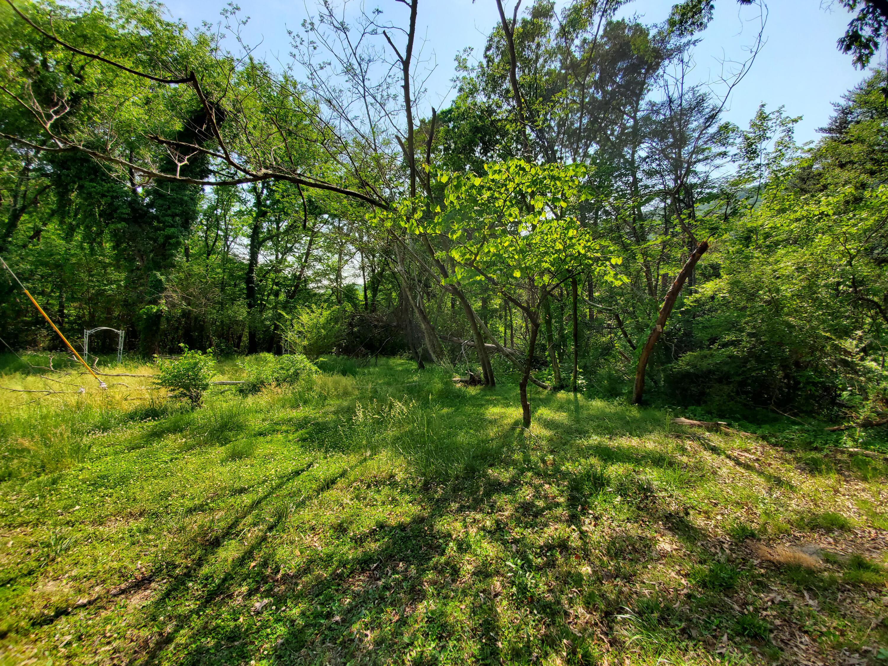 11058 & 62 Loop Road