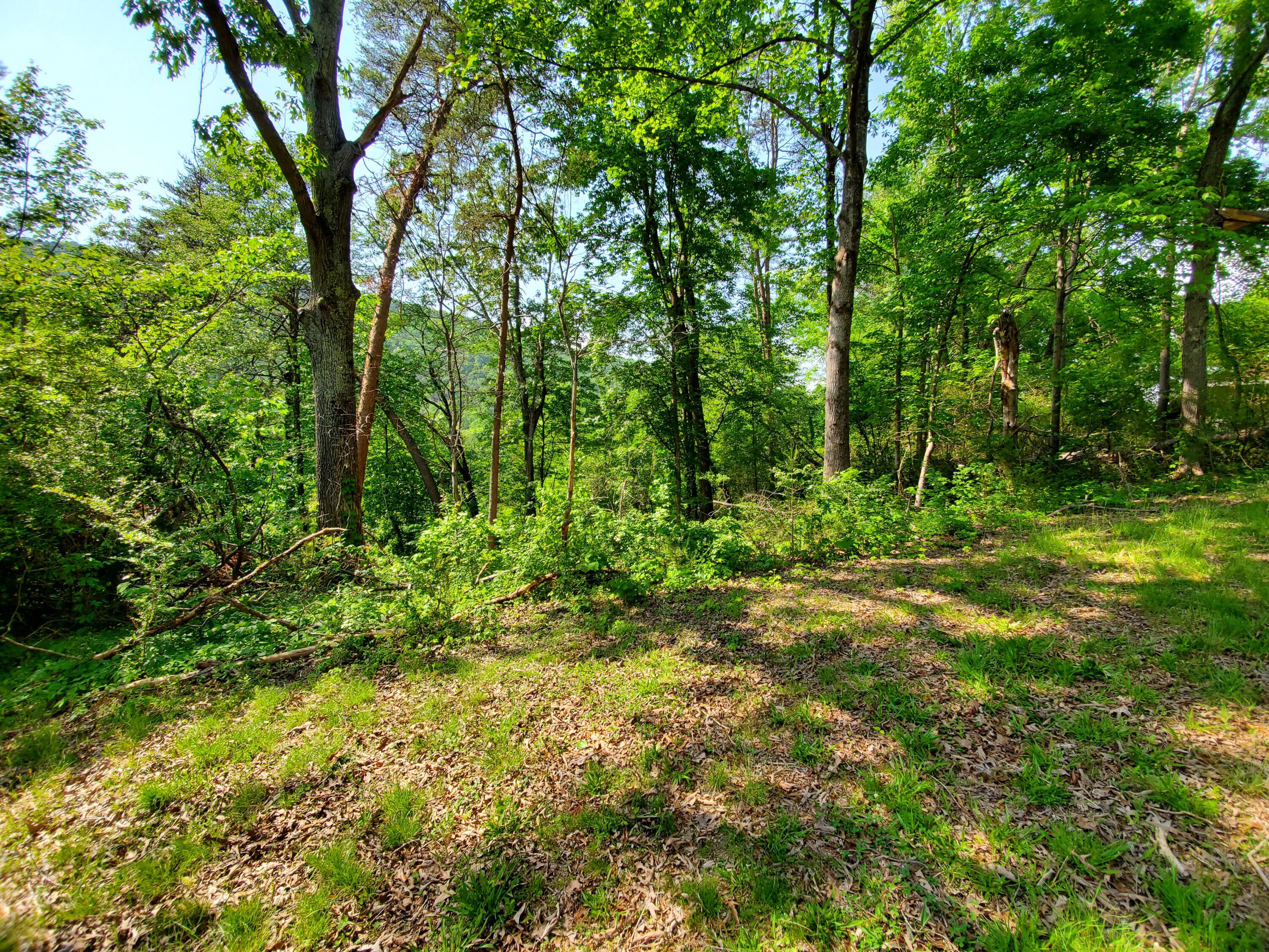 11058 & 62 Loop Road