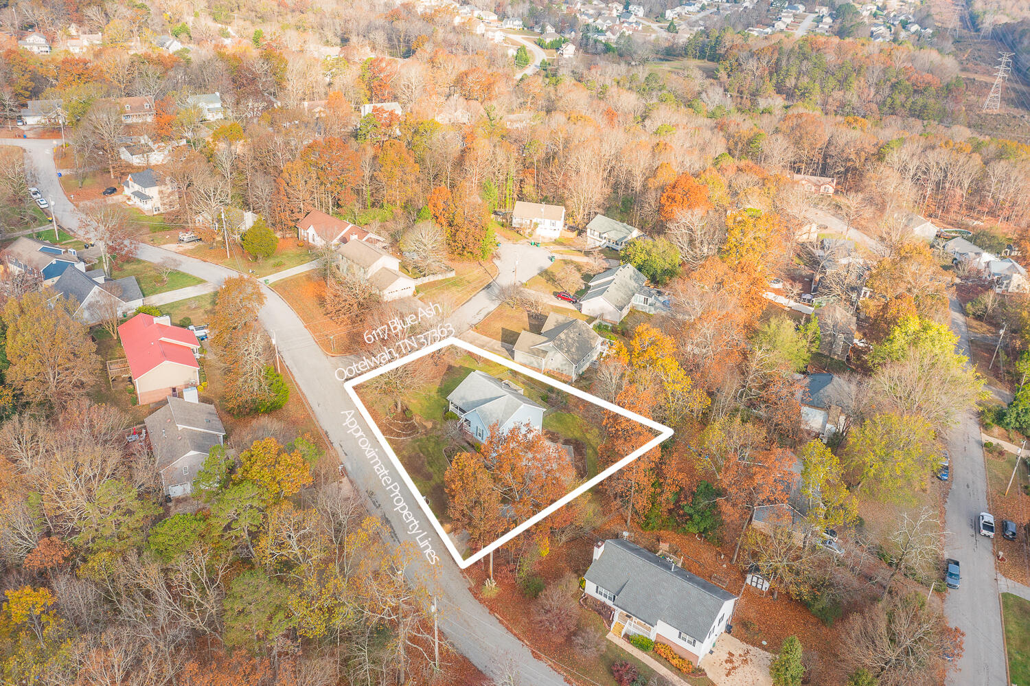 6117 Blue Ash Drive