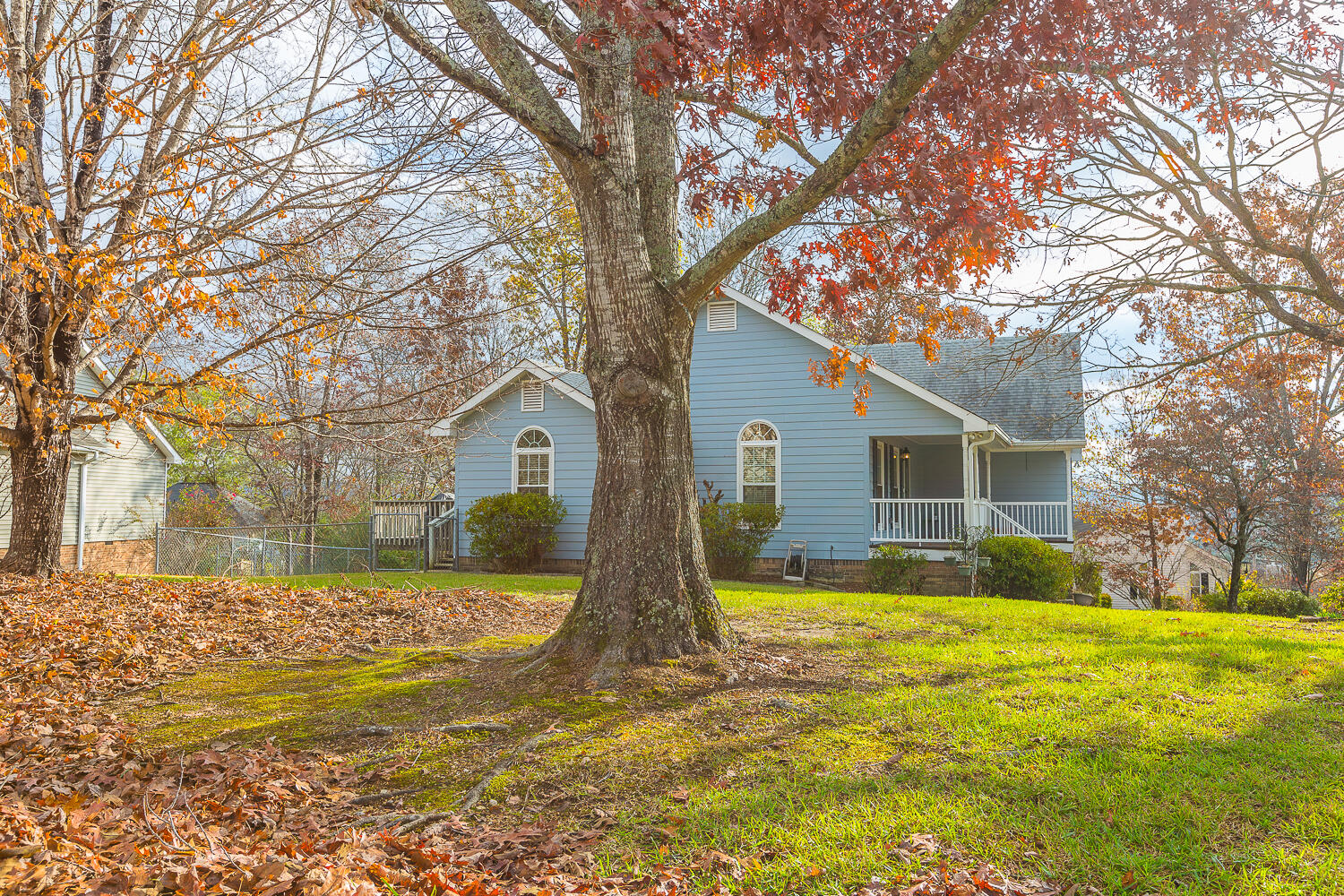 6117 Blue Ash Drive