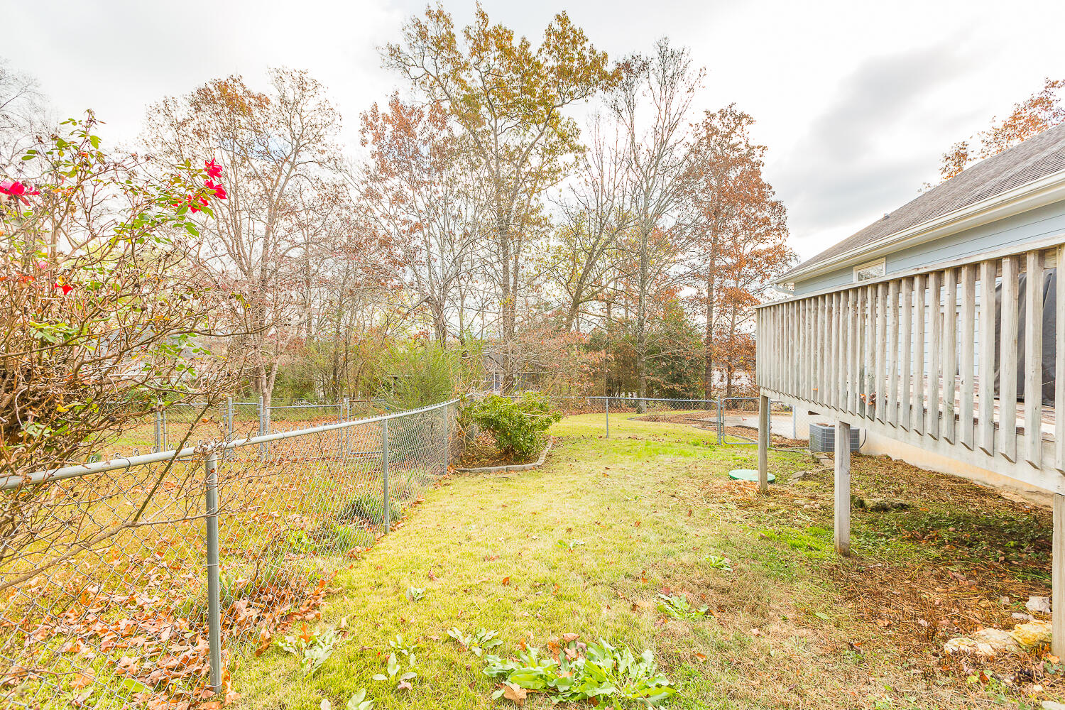 6117 Blue Ash Drive