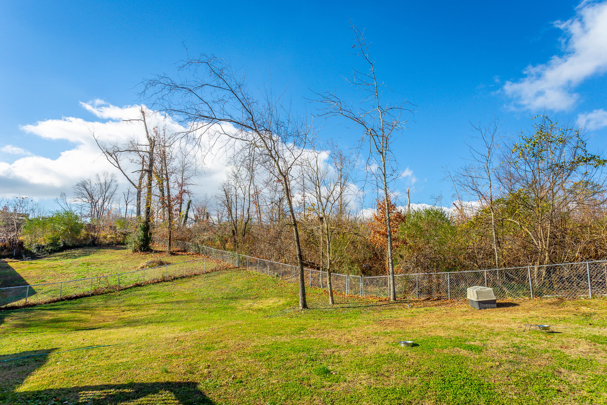 4101 Shady Oak Drive