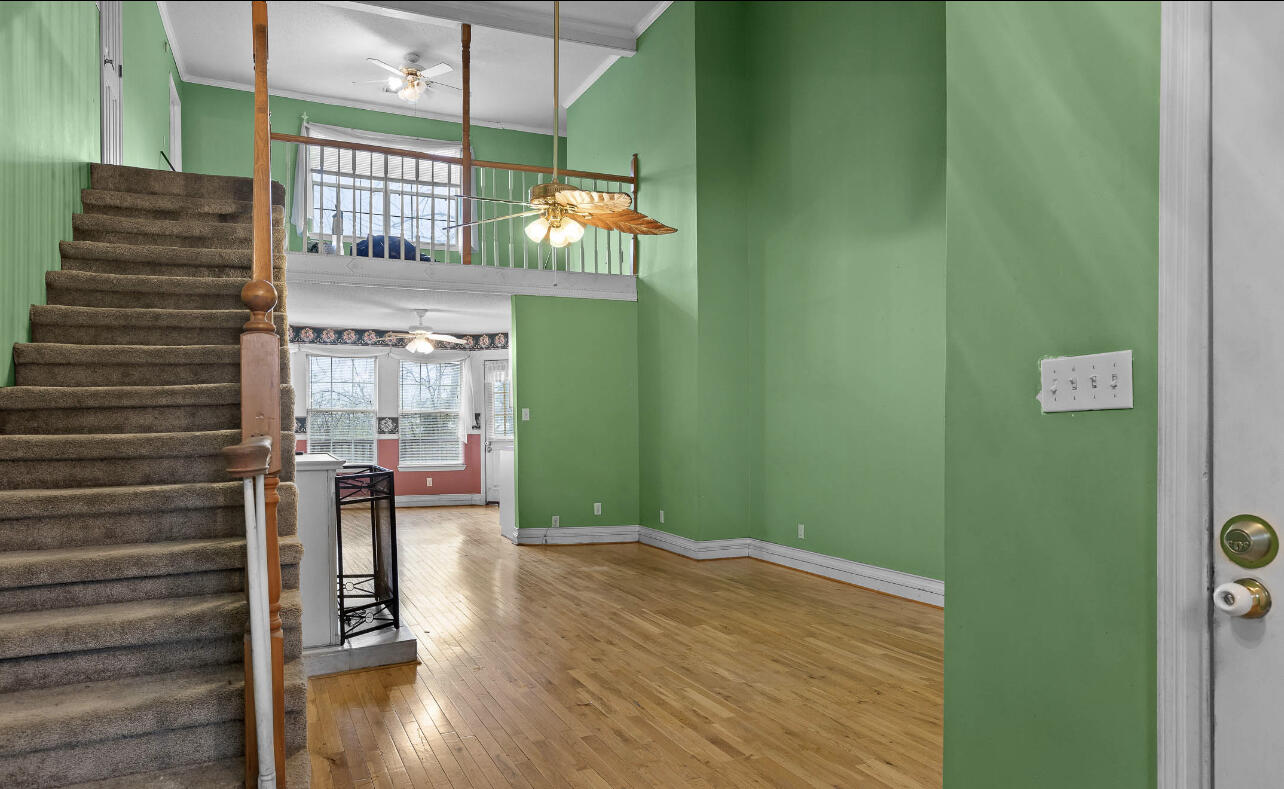 4115 Dupont Street
