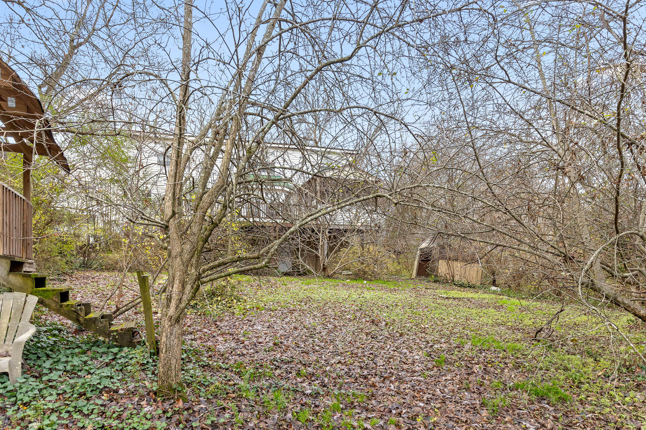 4115 Dupont Street