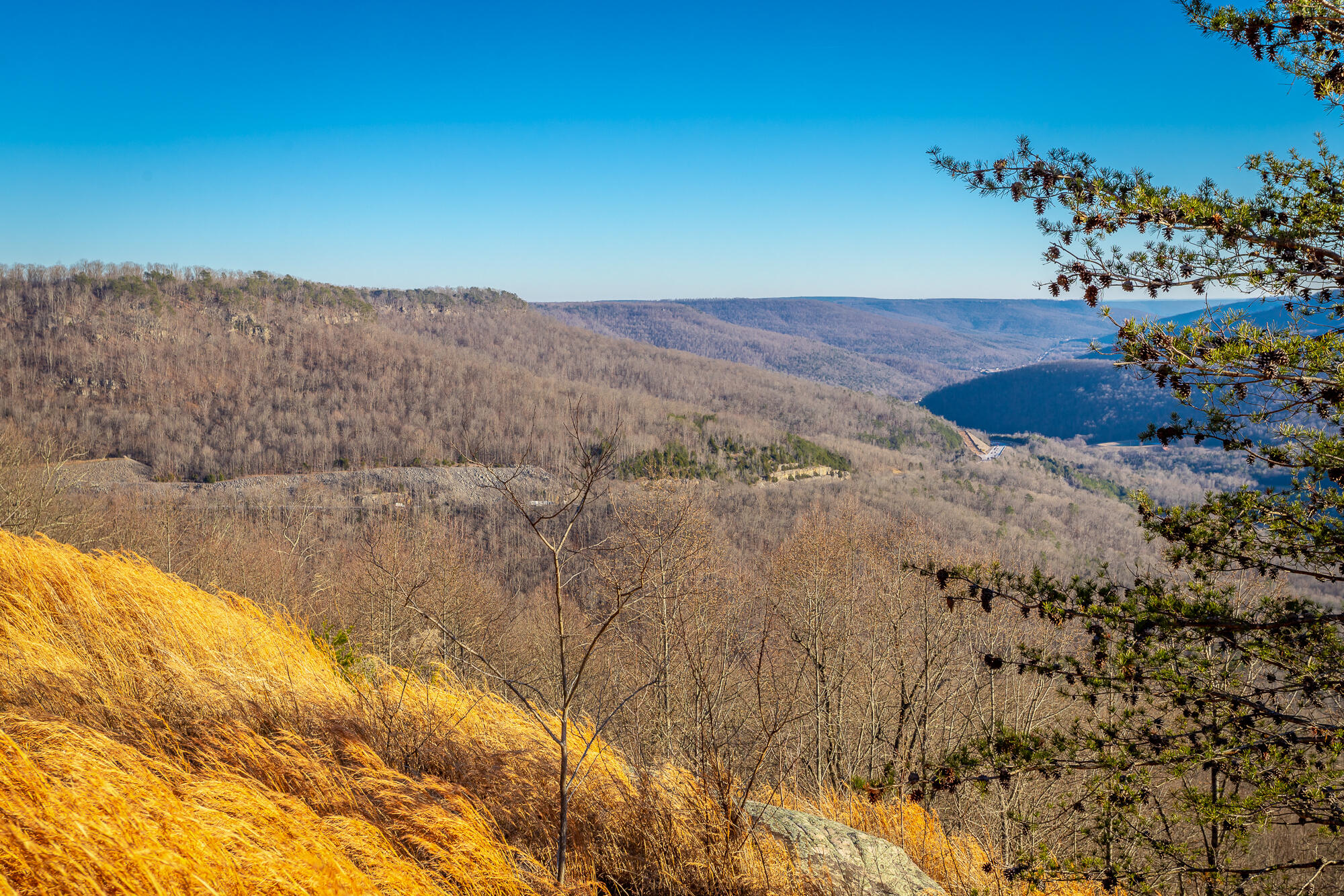 2019 Laurel Lake Drive