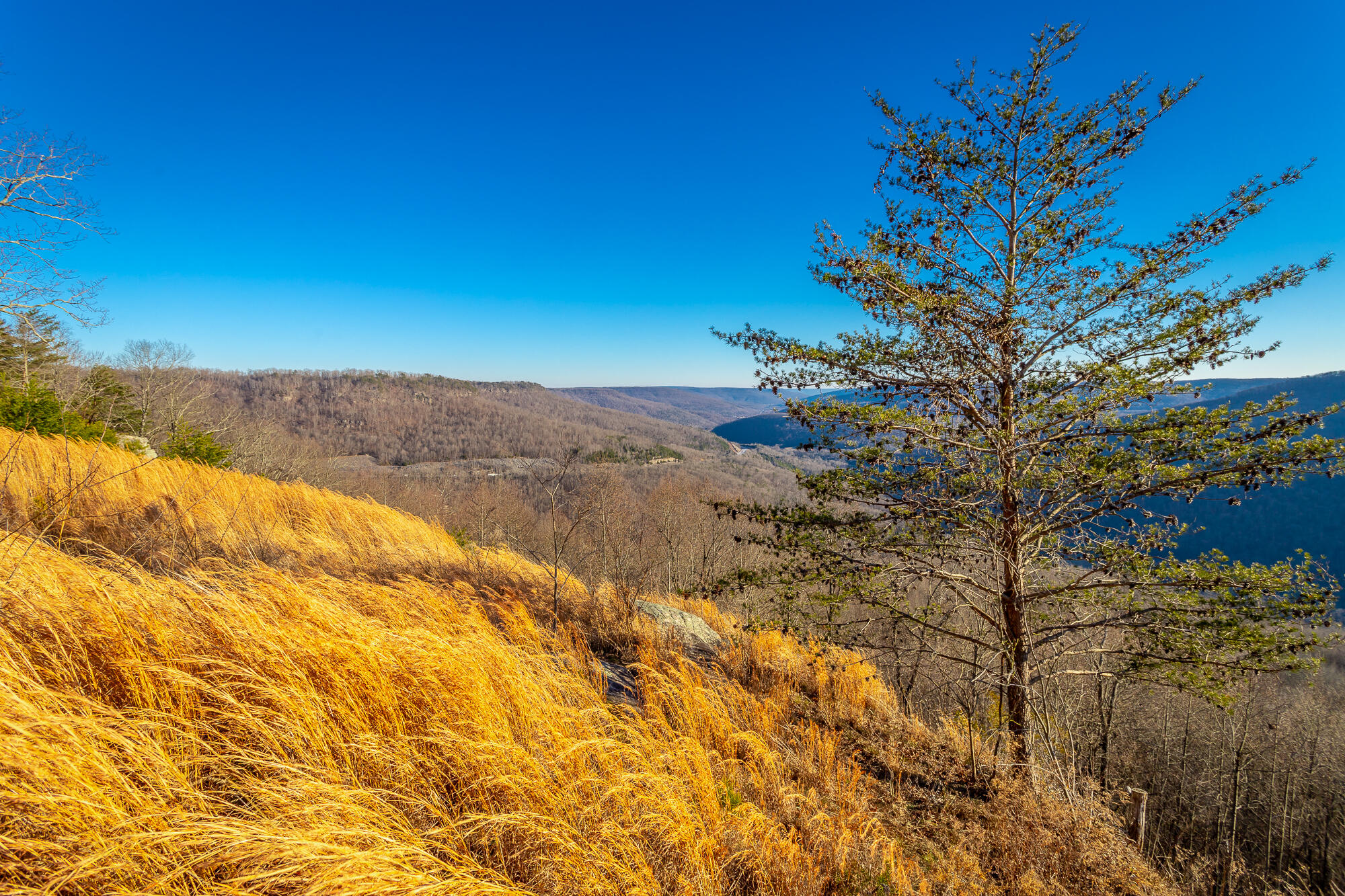 2019 Laurel Lake Drive
