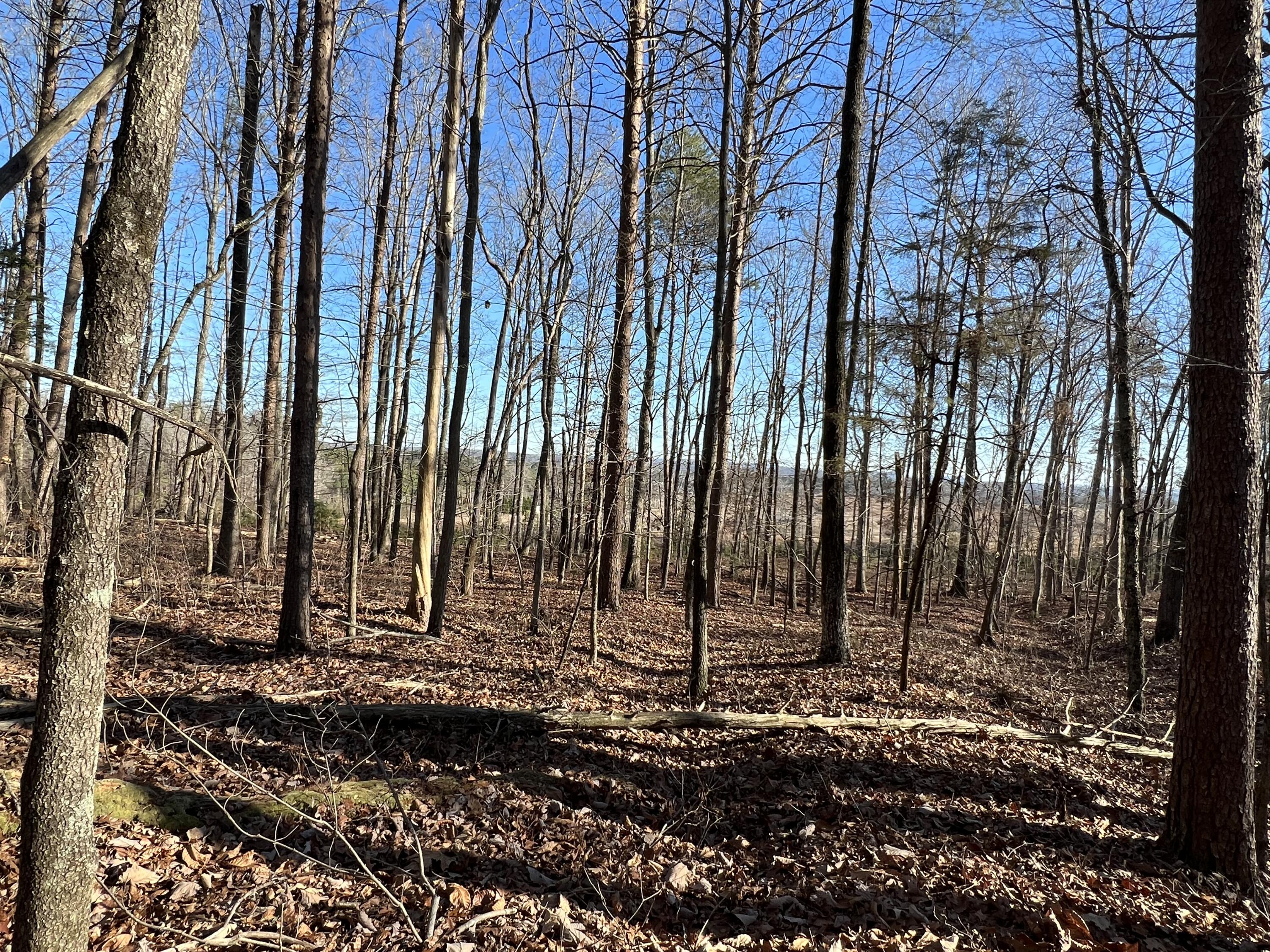 329 Lynn Trail, LaFayette