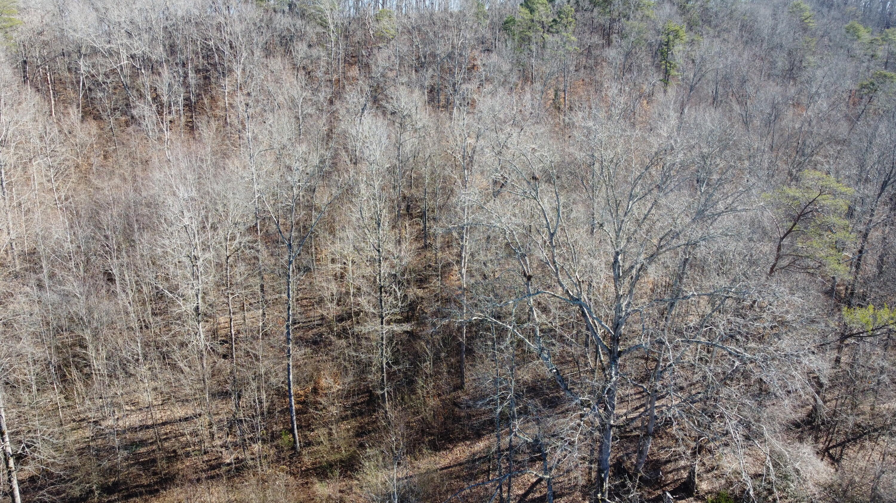 1454 Old York Highway