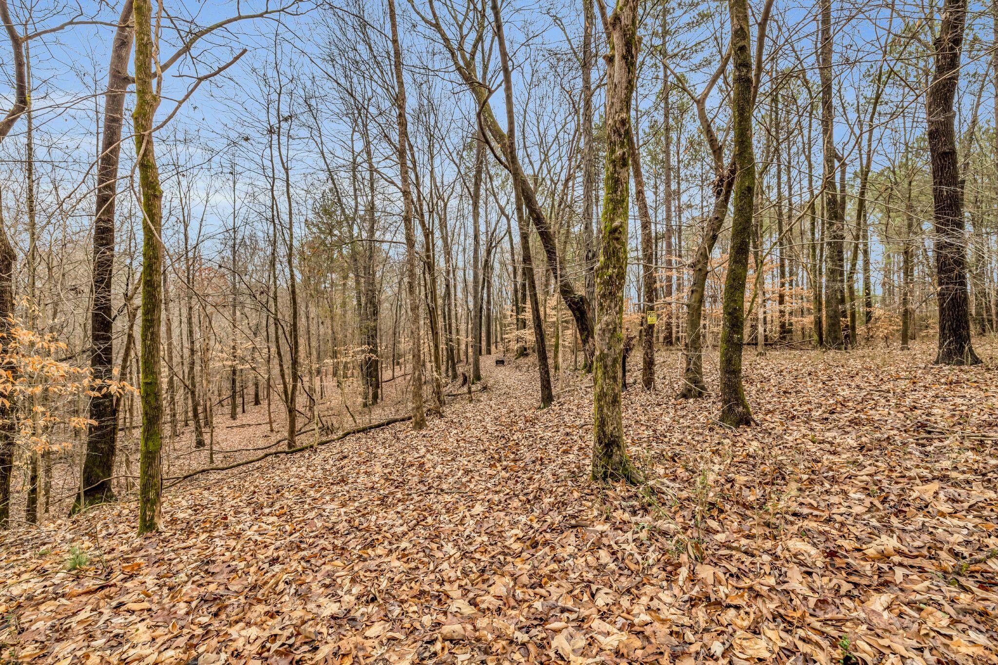 3691 Highway 337, LaFayette