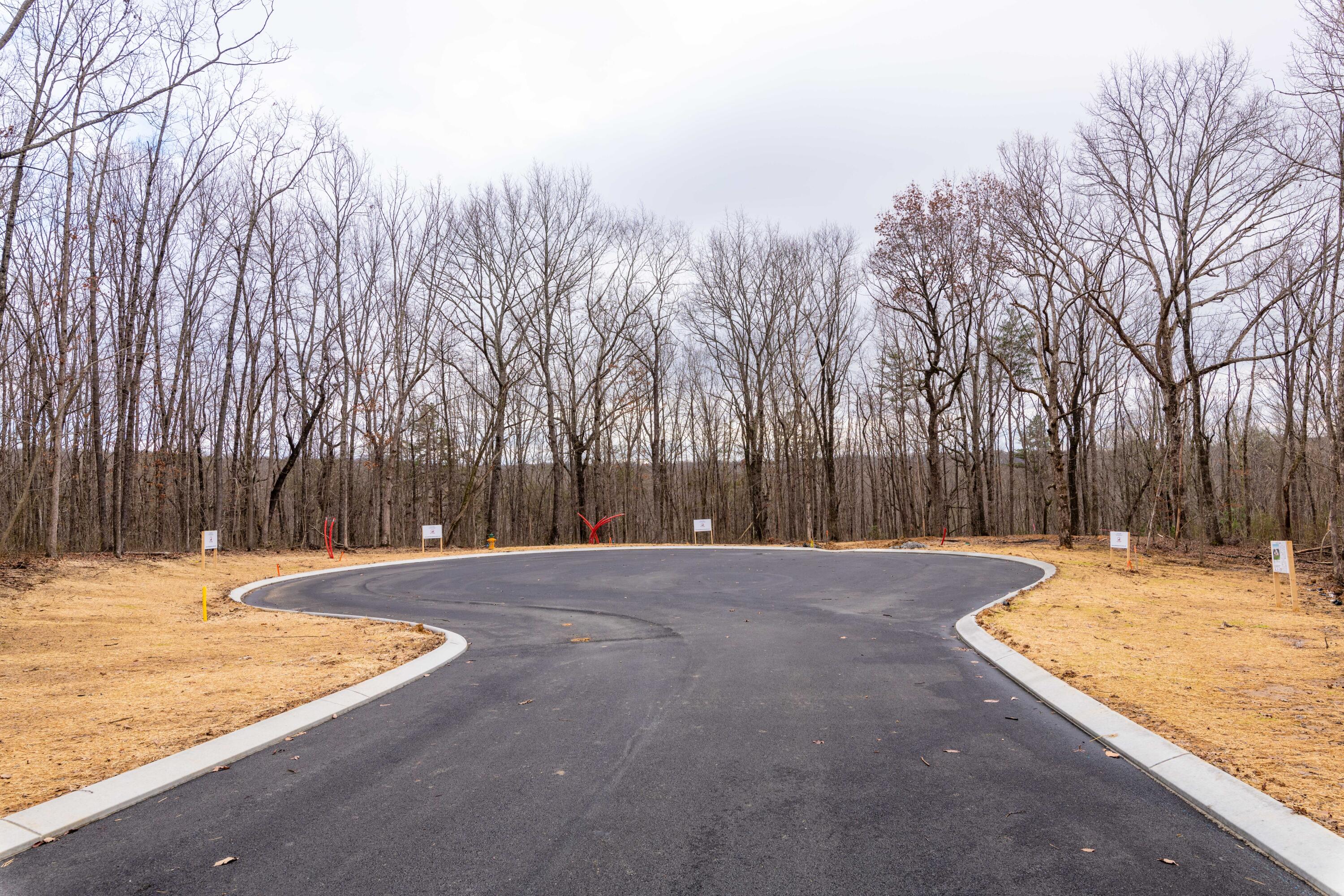 5159 Virginia Pine Road, 94