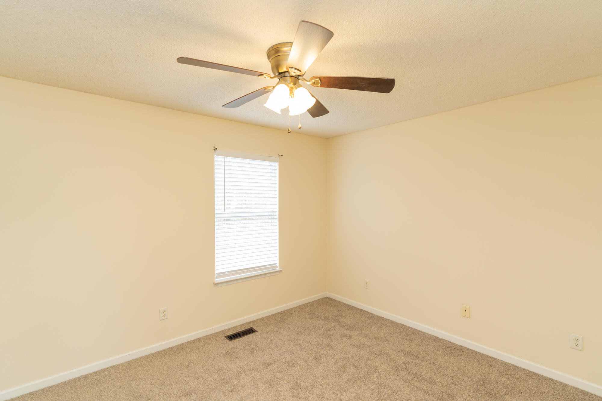 44 Timothy Drive