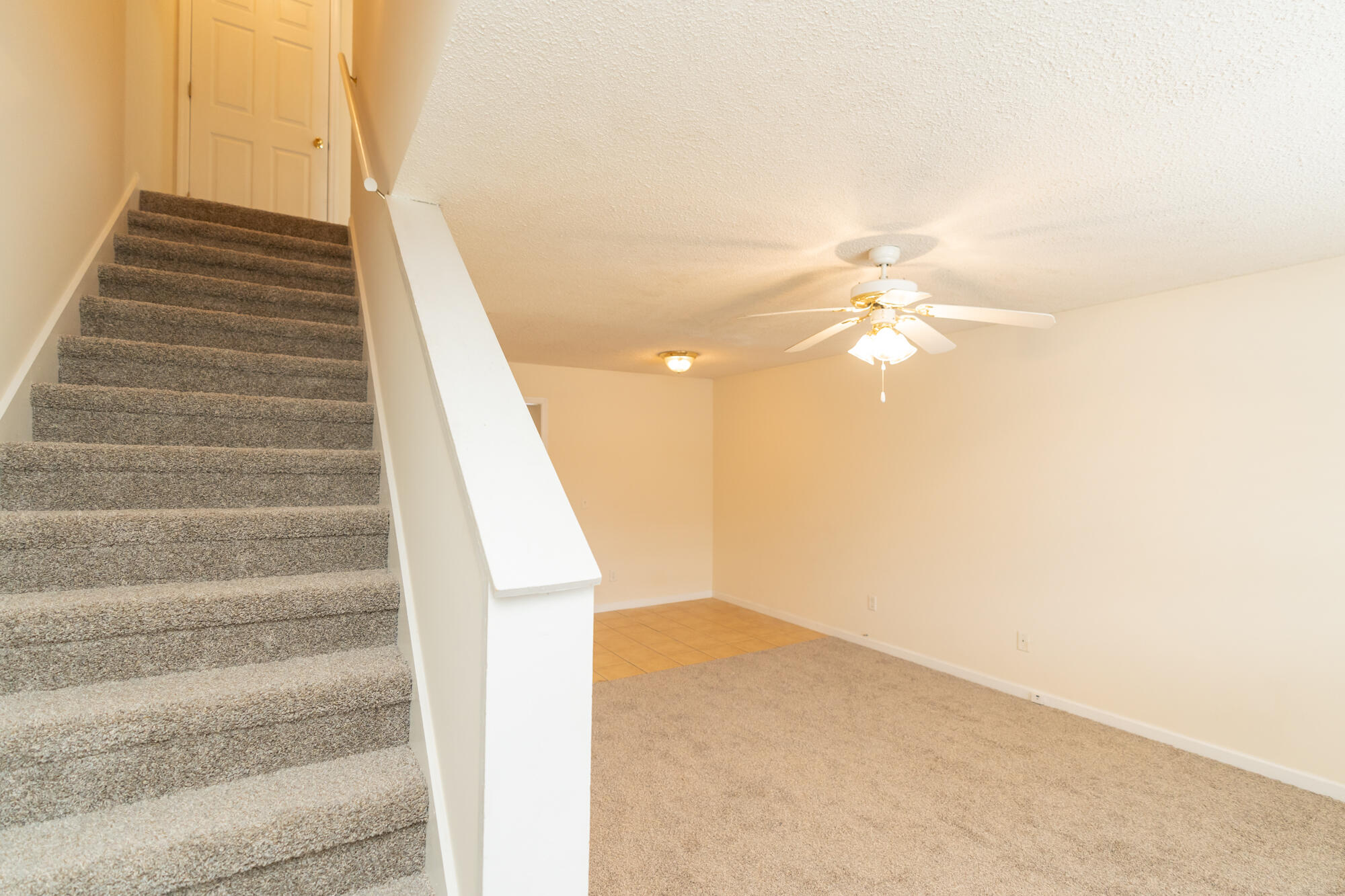 44 Timothy Drive