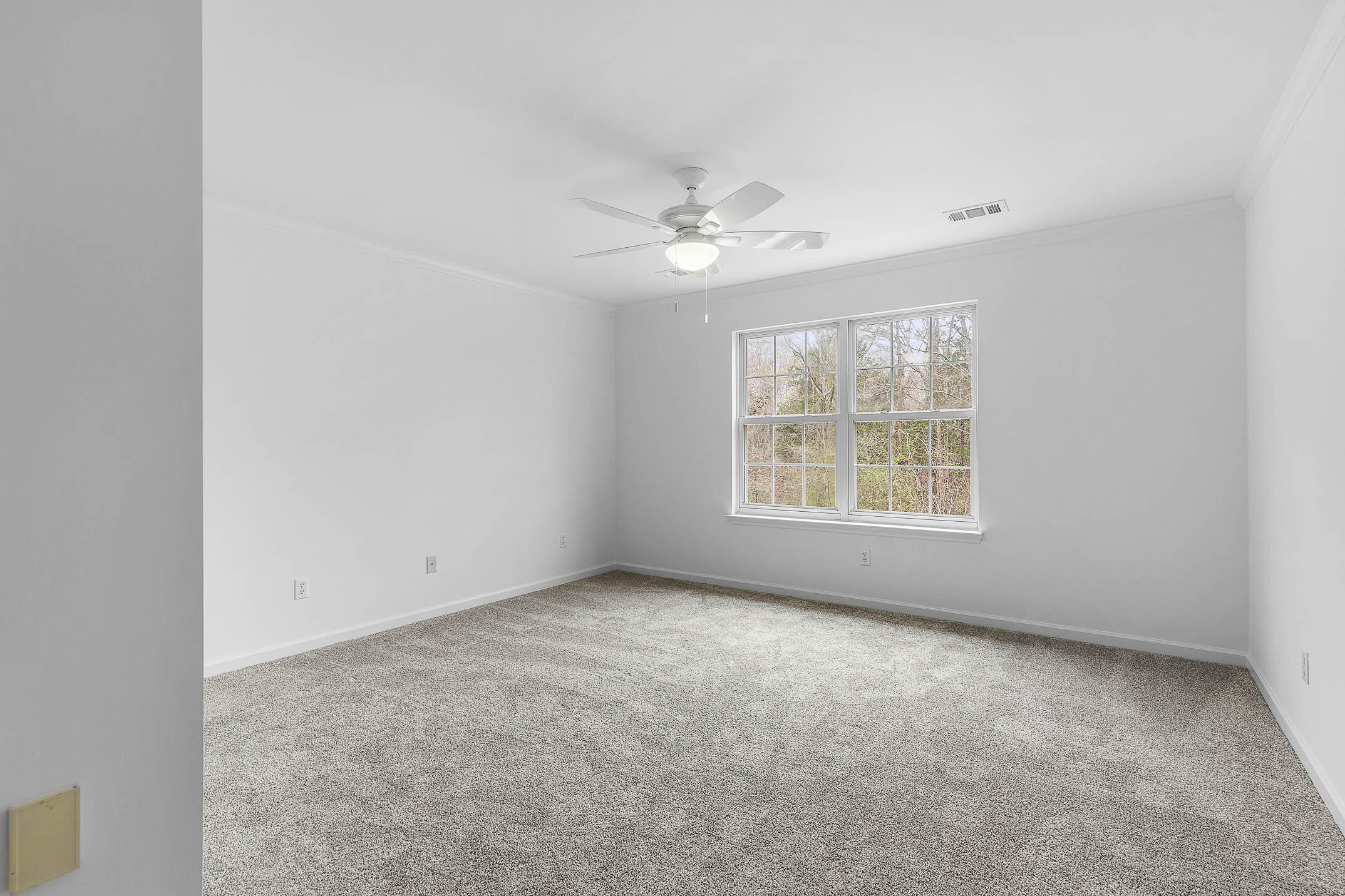 2413 Royal Fern Trail