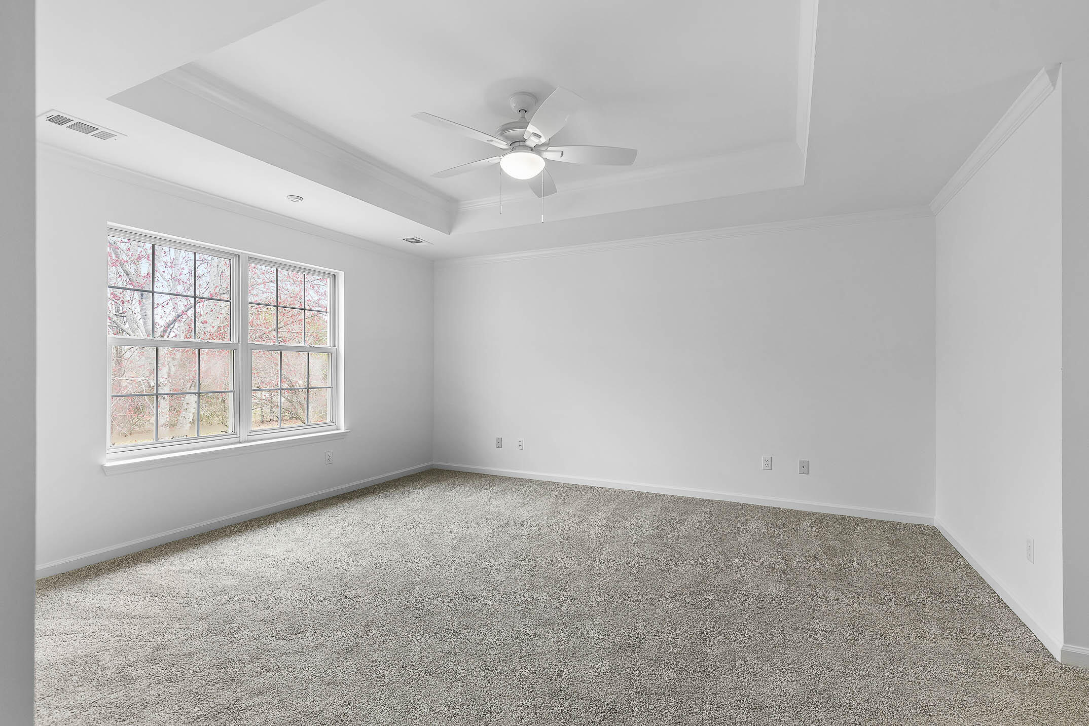 2413 Royal Fern Trail