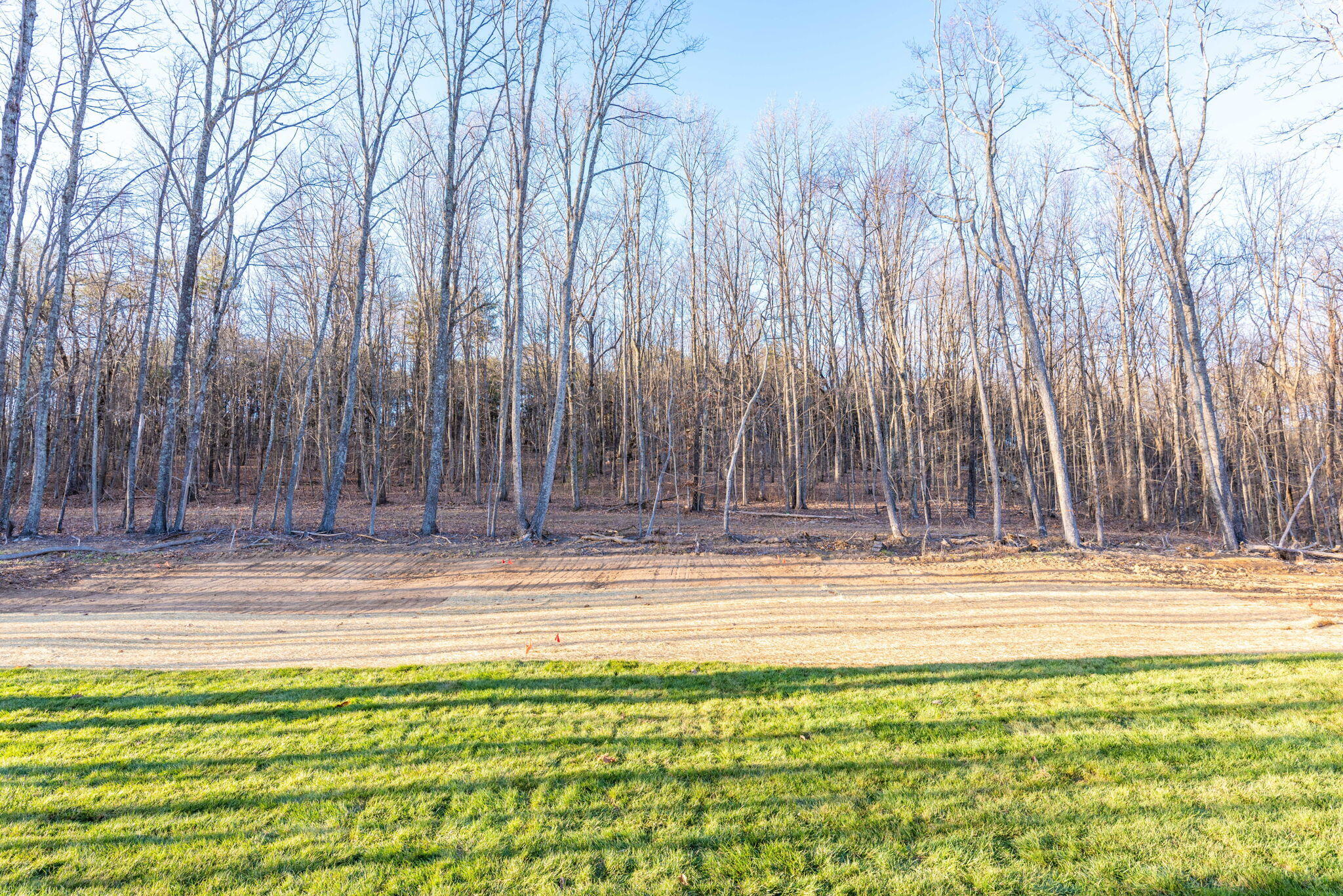 5043 Virginia Pine Road, 89