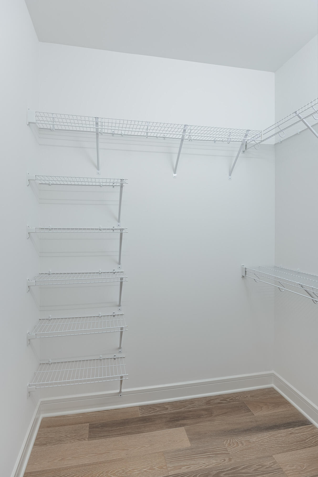 1031 Amelia Court, 5