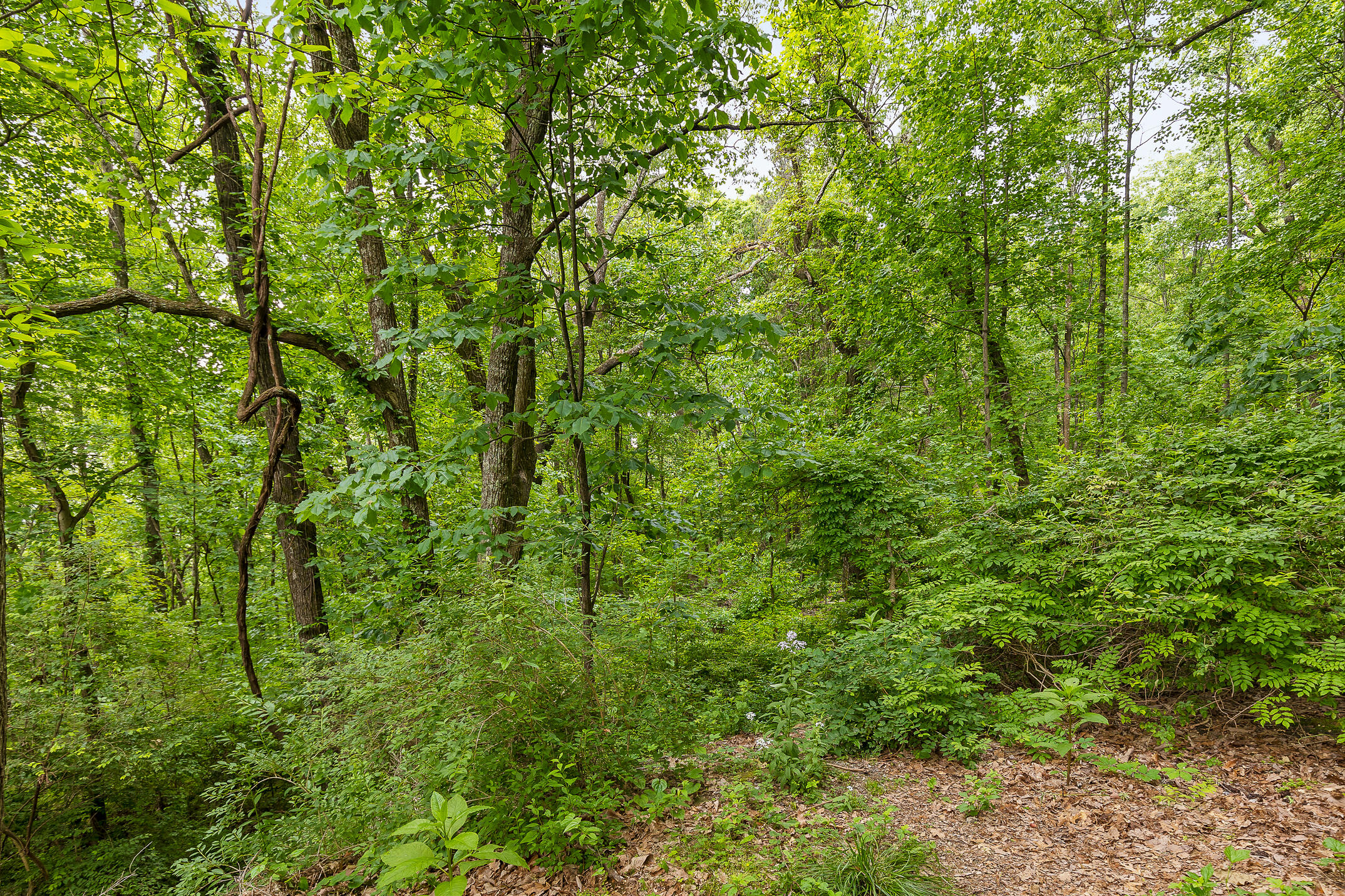 531 Winterview Lane