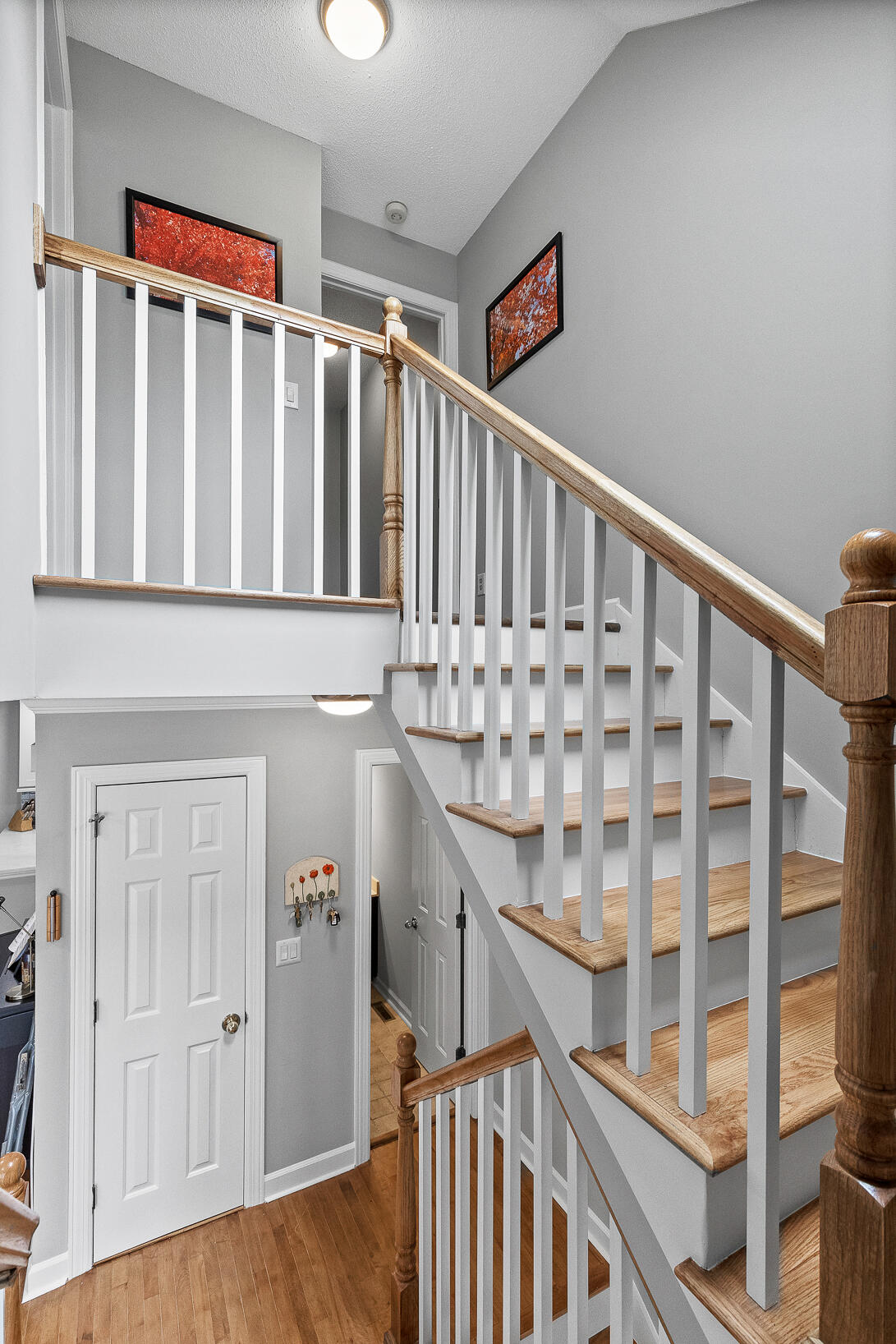 531 Winterview Lane