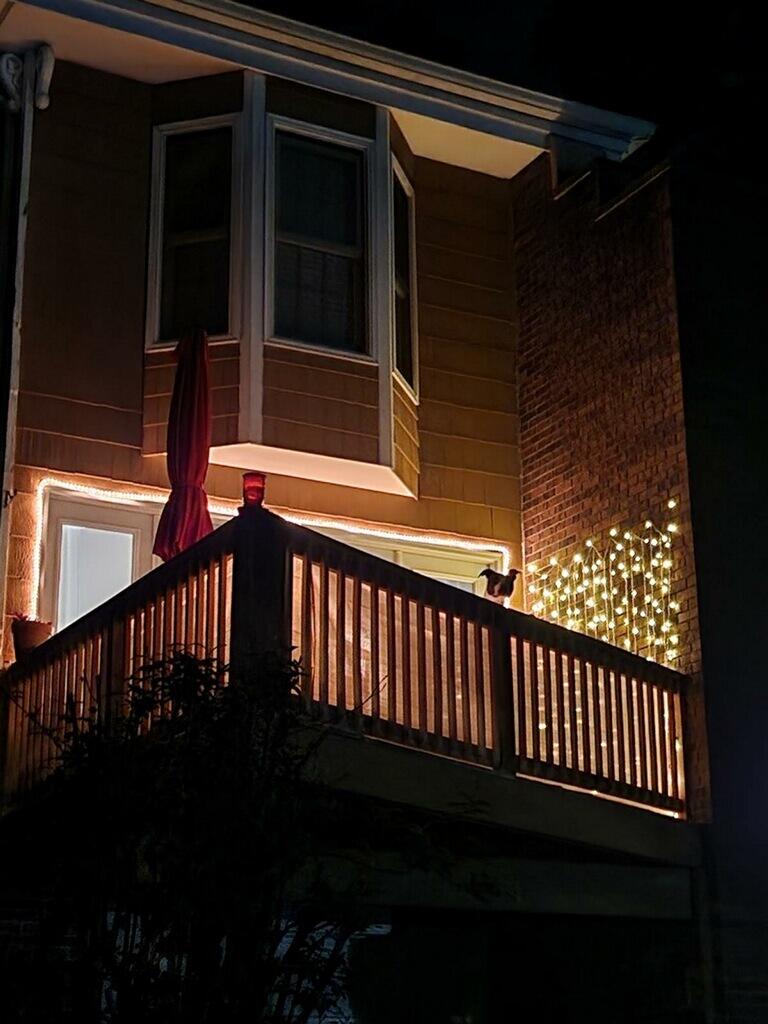 531 Winterview Lane