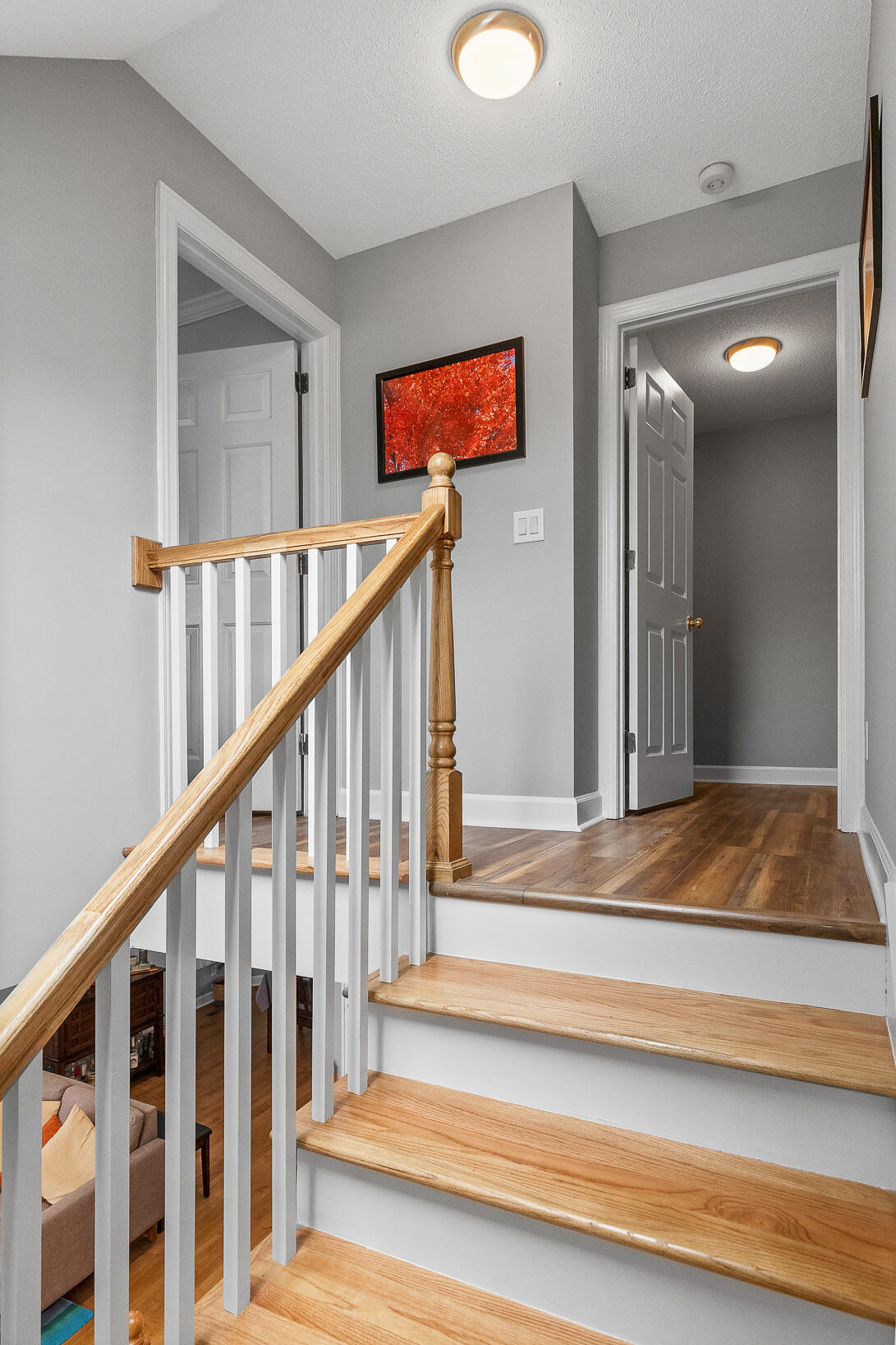 531 Winterview Lane