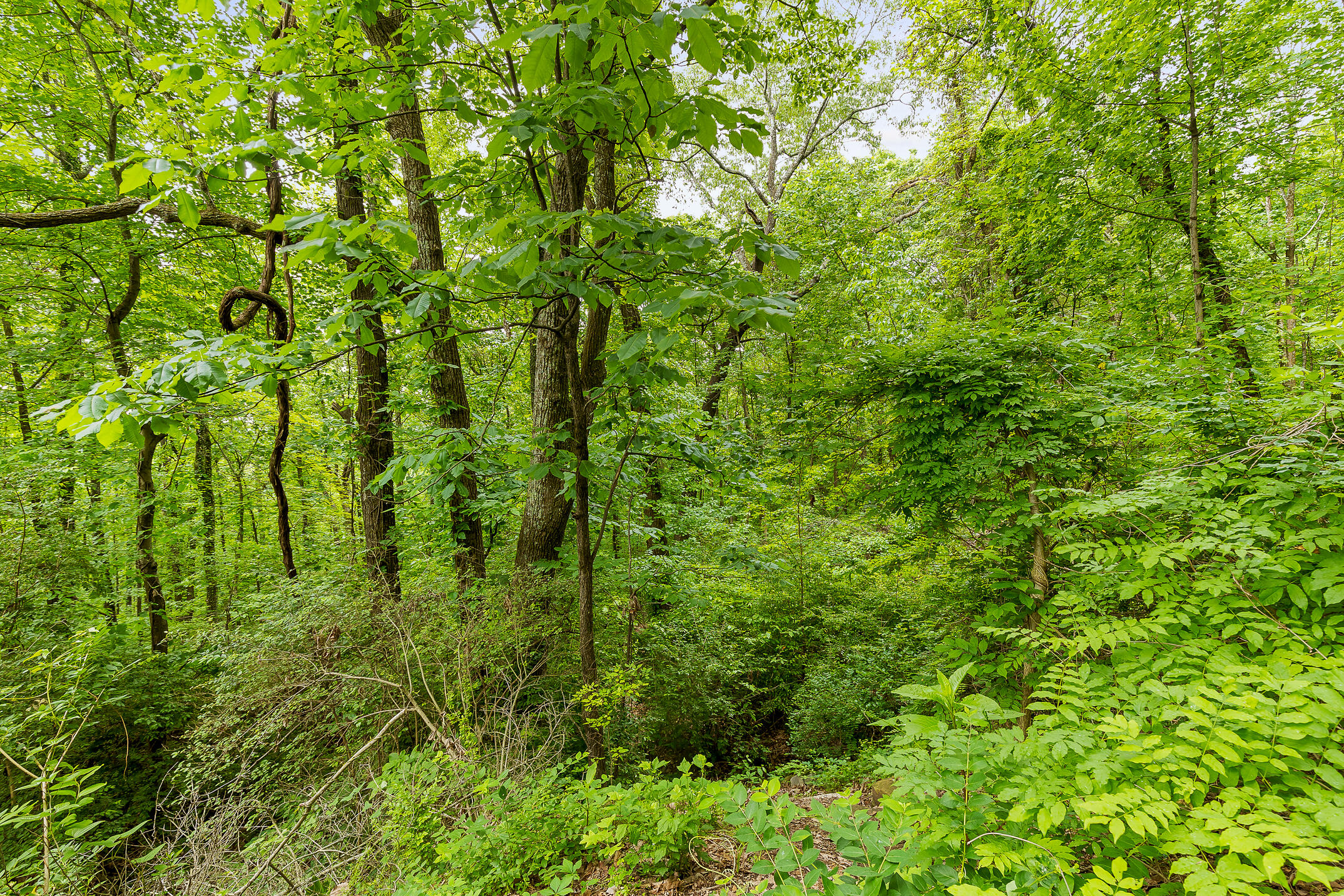 531 Winterview Lane