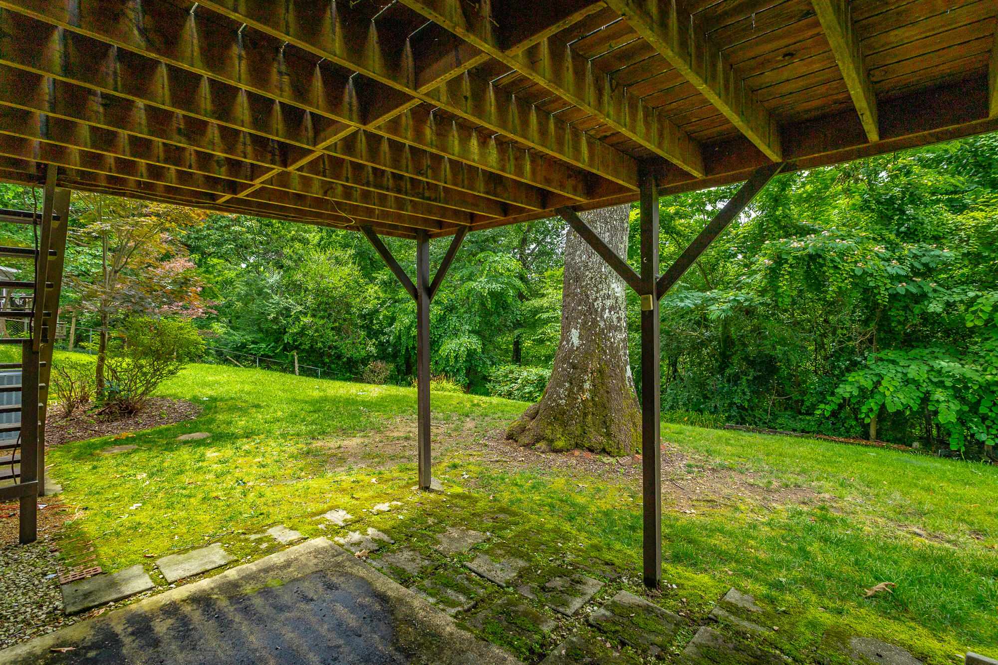 613 Timber Ridge Drive
