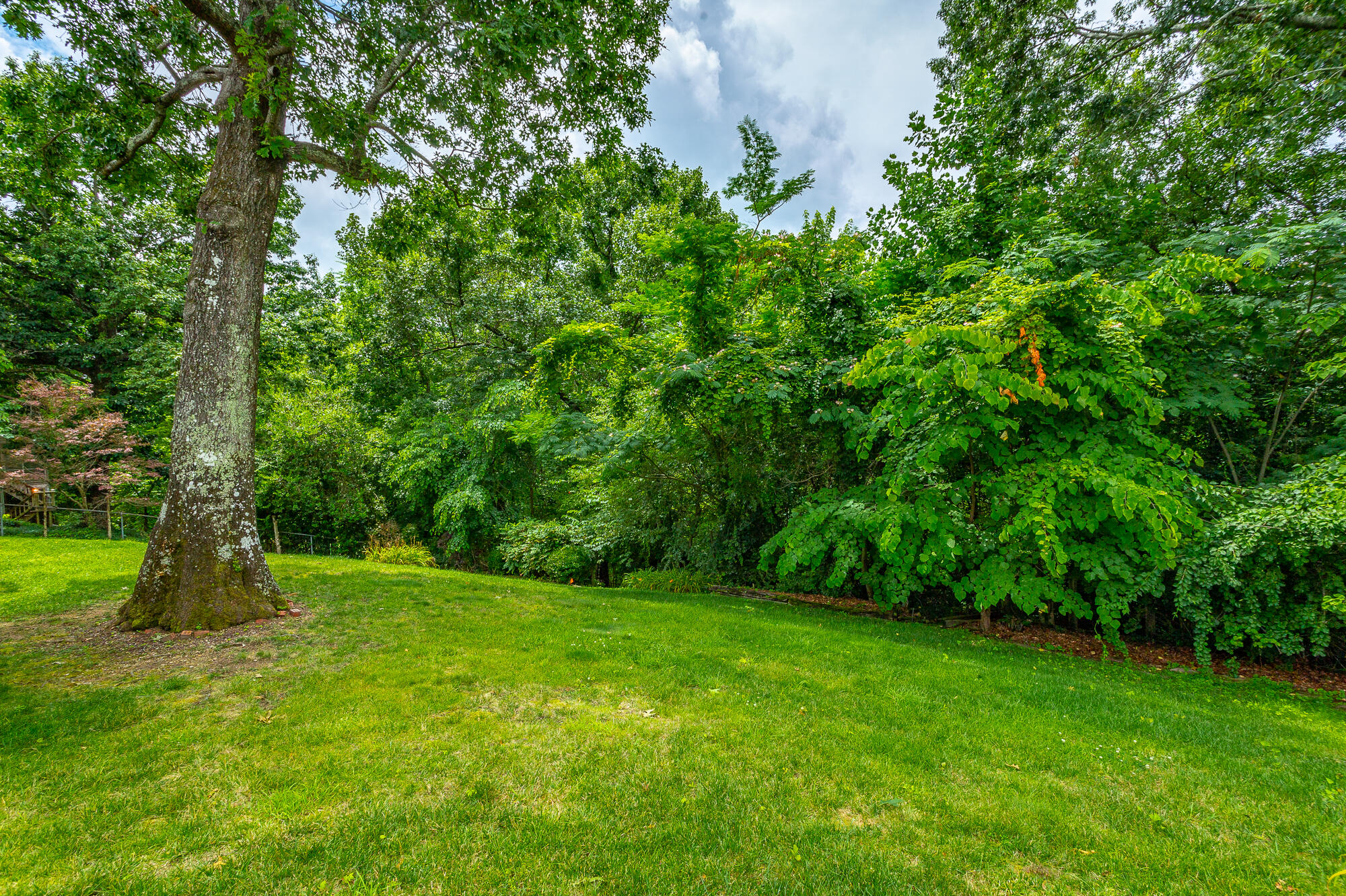 613 Timber Ridge Drive
