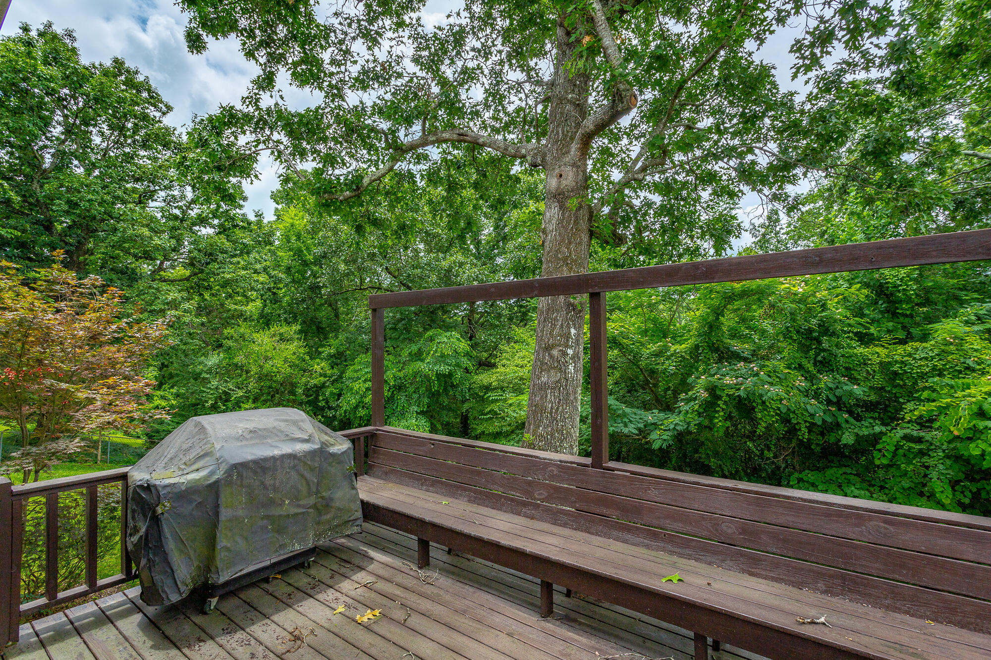 613 Timber Ridge Drive