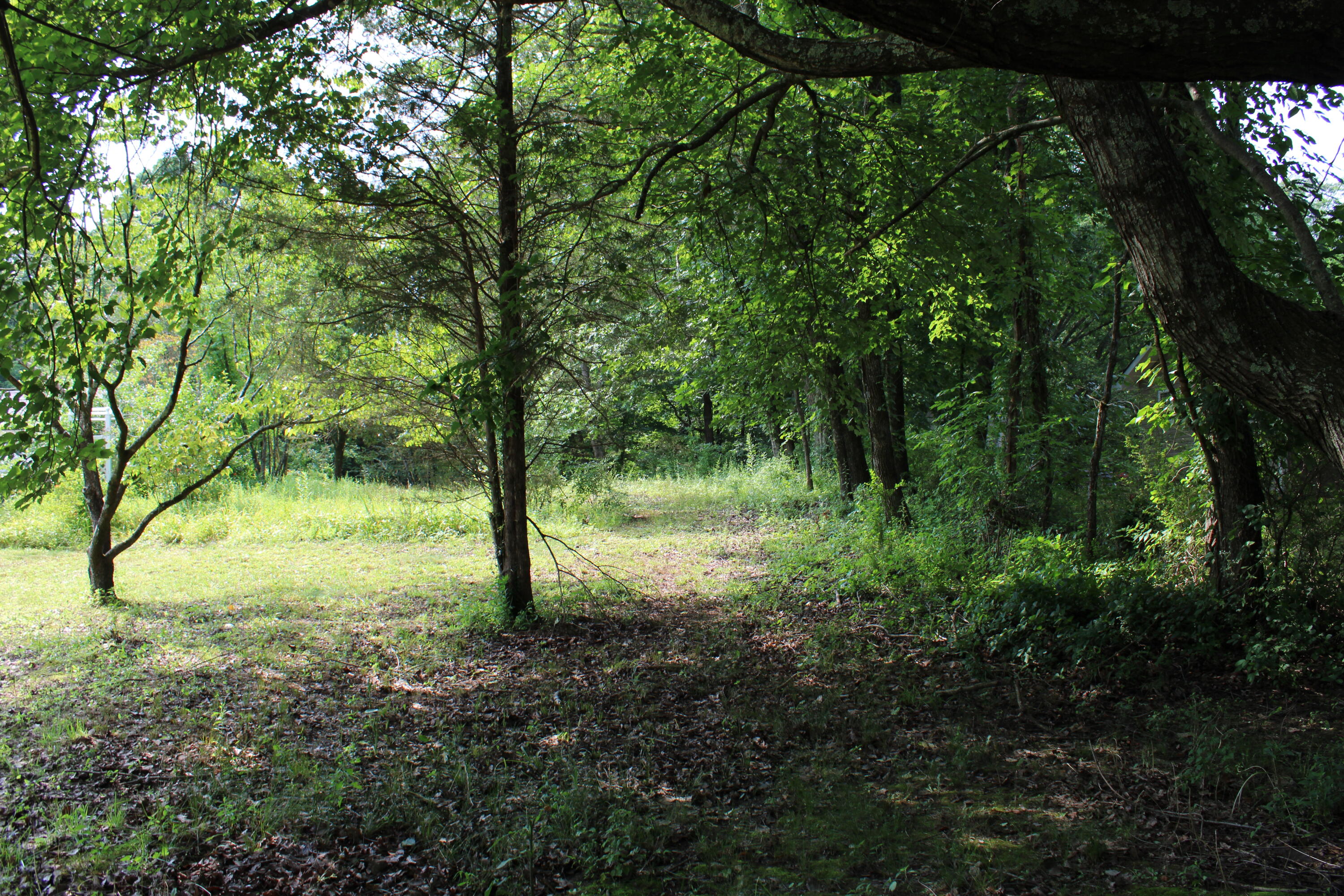 111 Bee Branch Boulevard