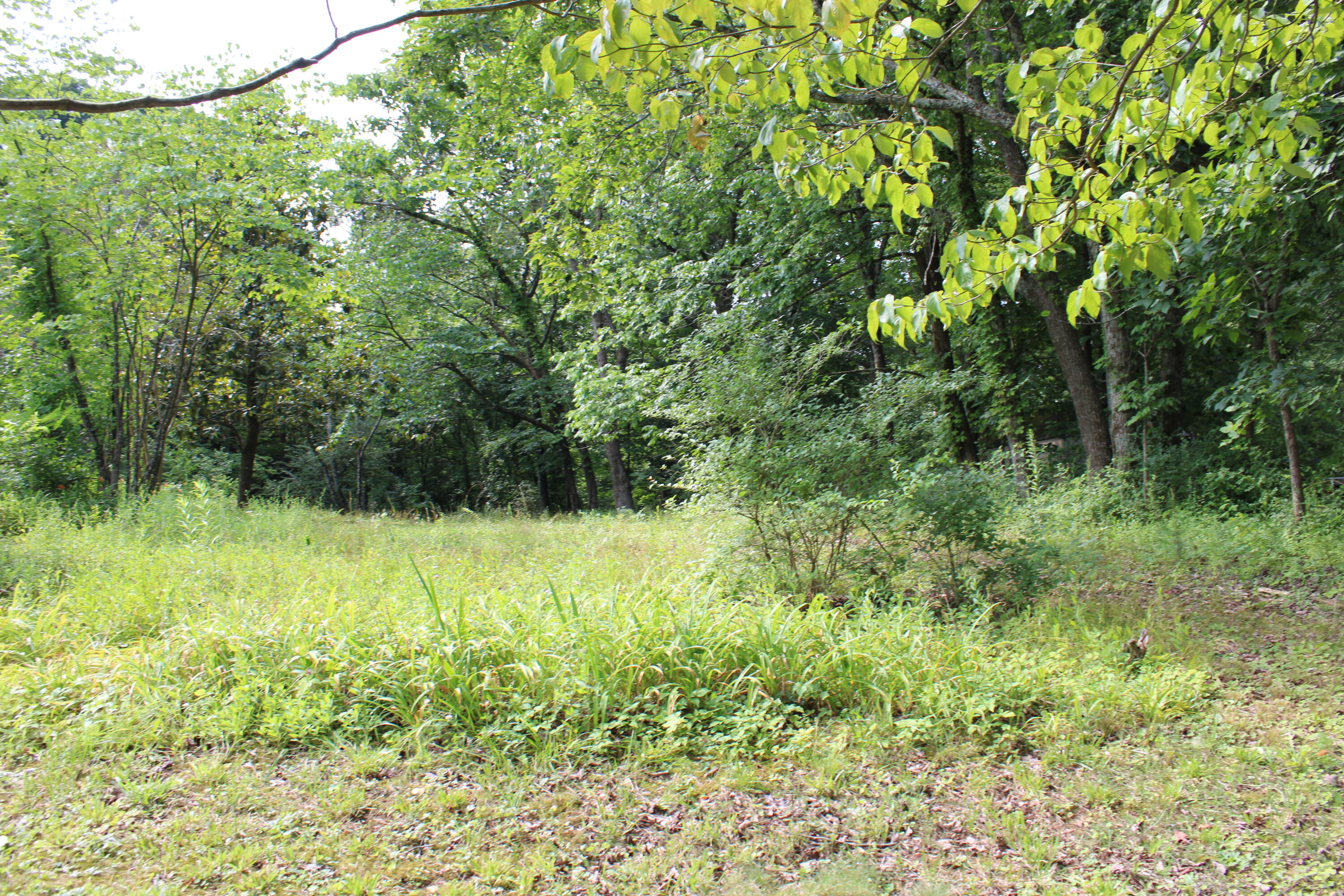 111 Bee Branch Boulevard