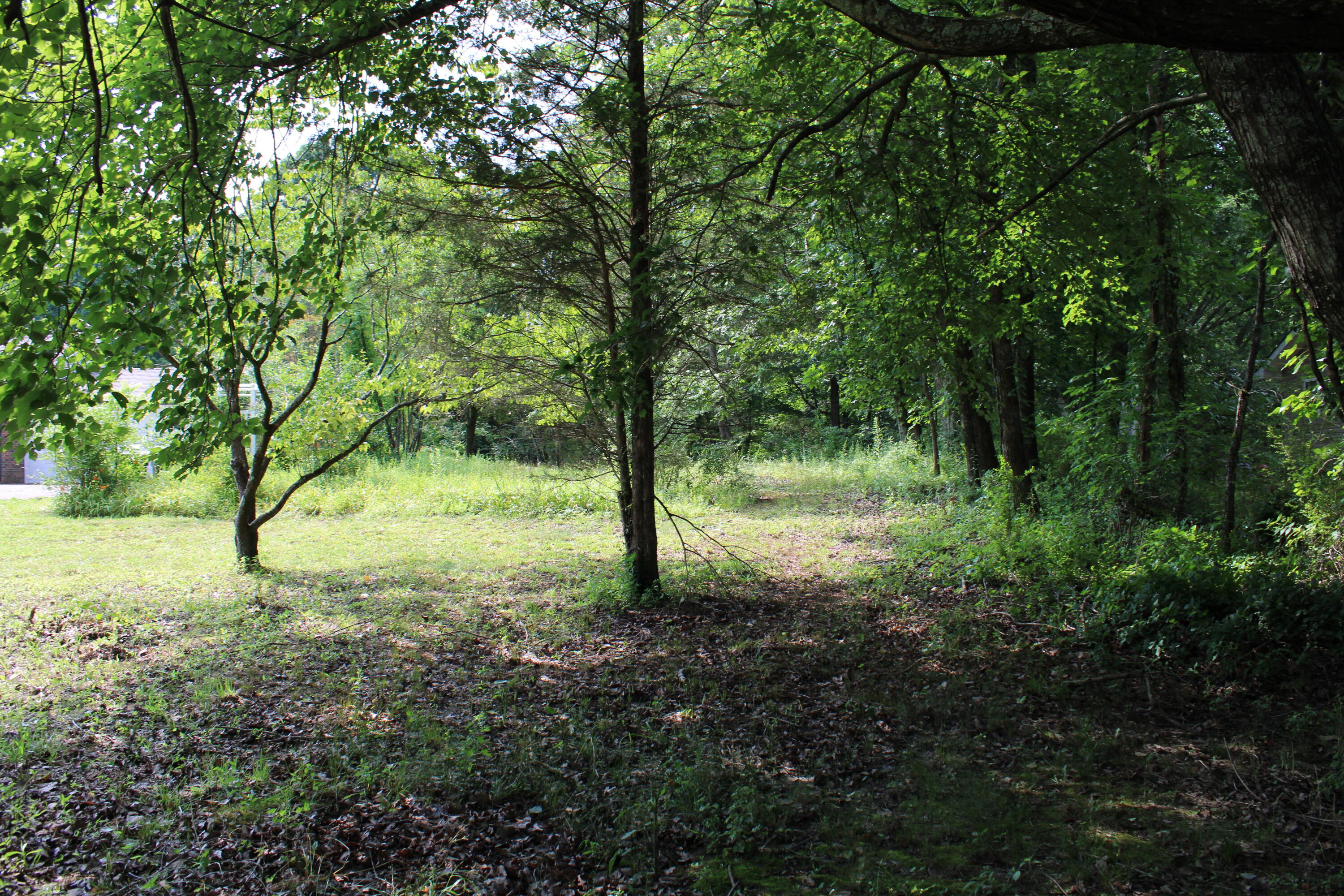 111 Bee Branch Boulevard