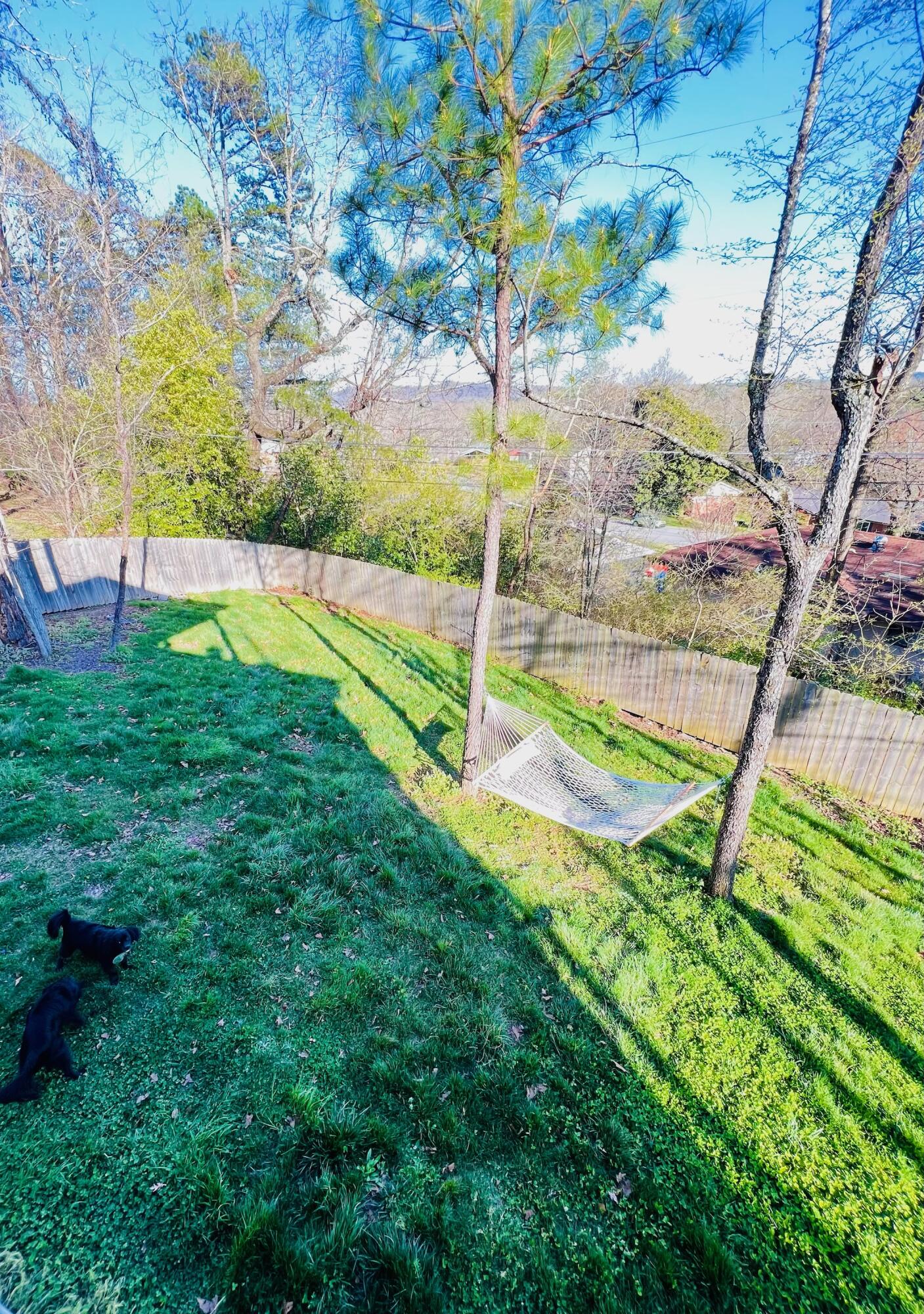 4334 Comet Trail