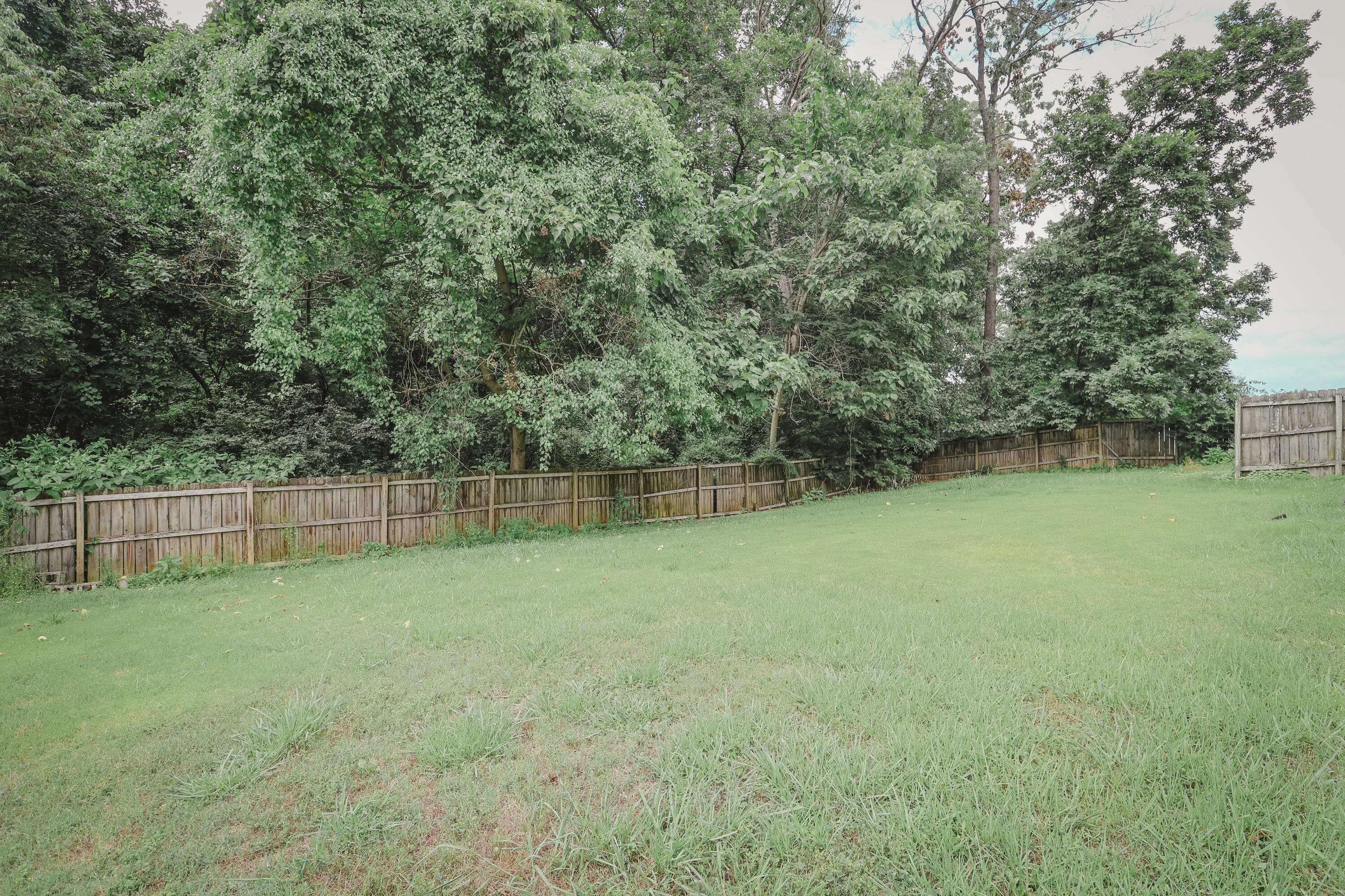 170 Hillvale Lane