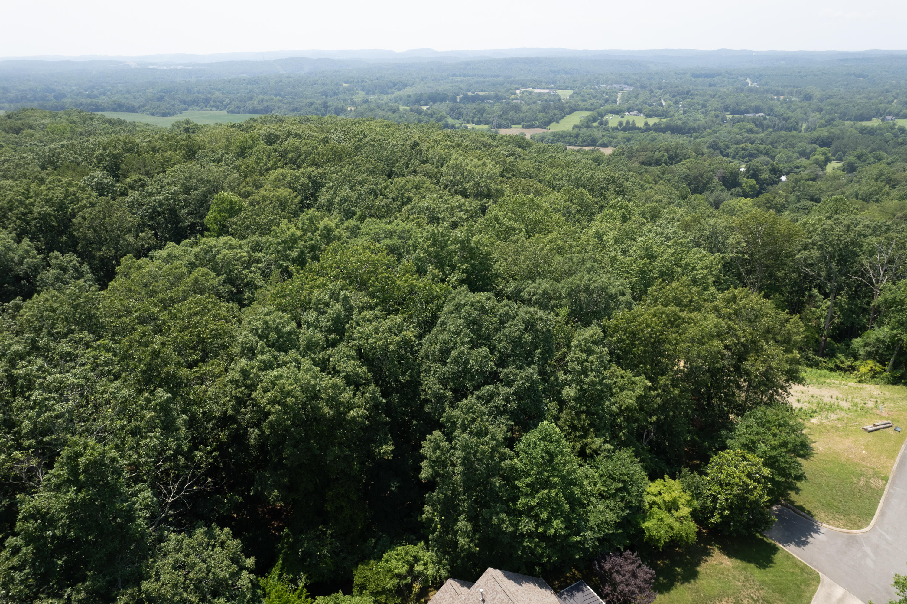 0 Stonewood Court, 47