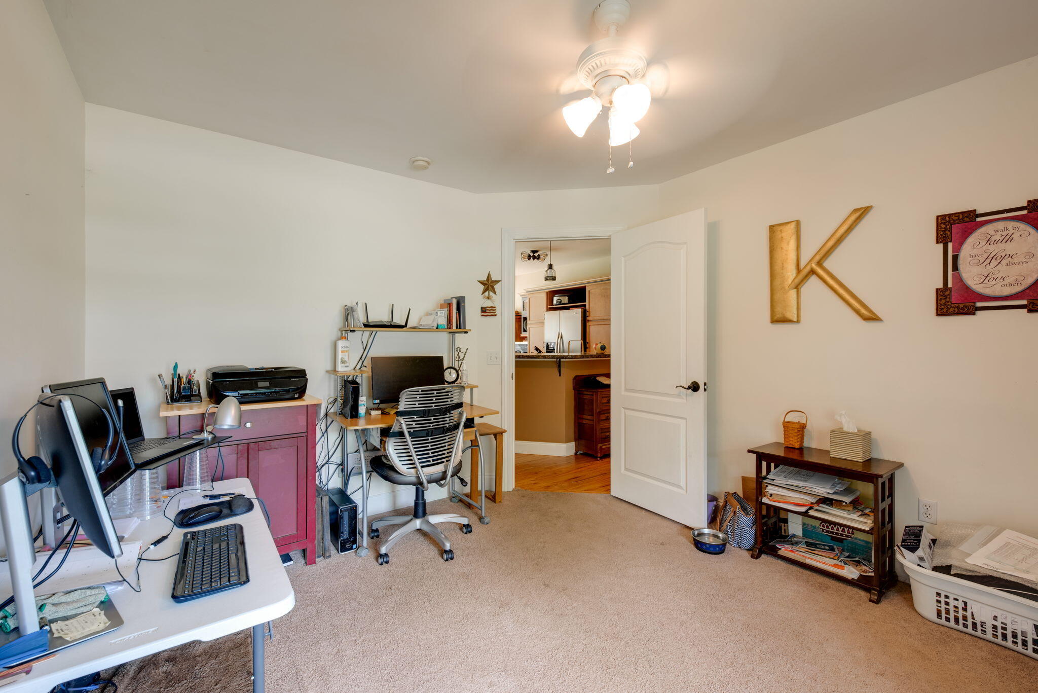 195 Carriage Drive