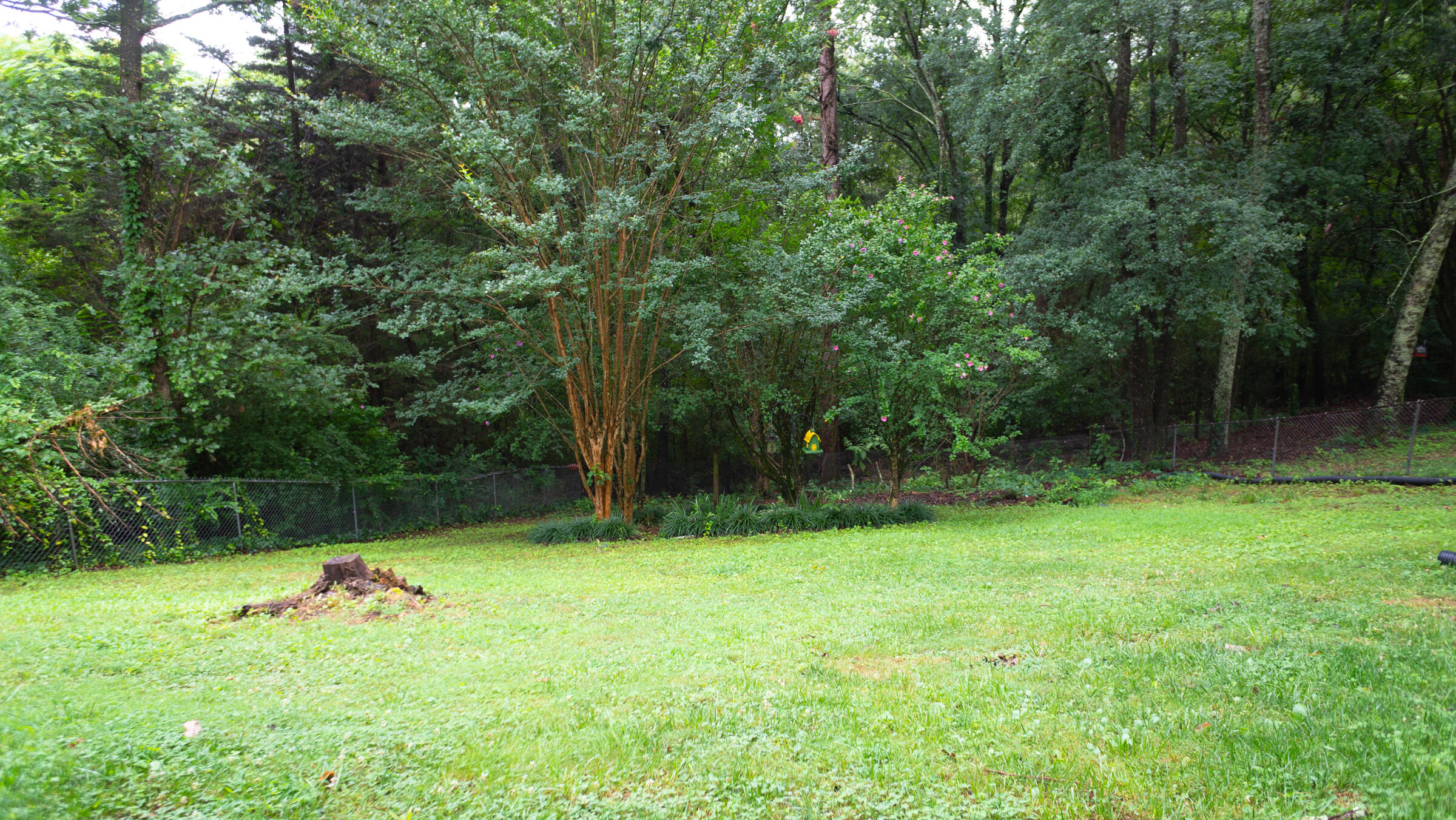 740 Ashley Forest Drive