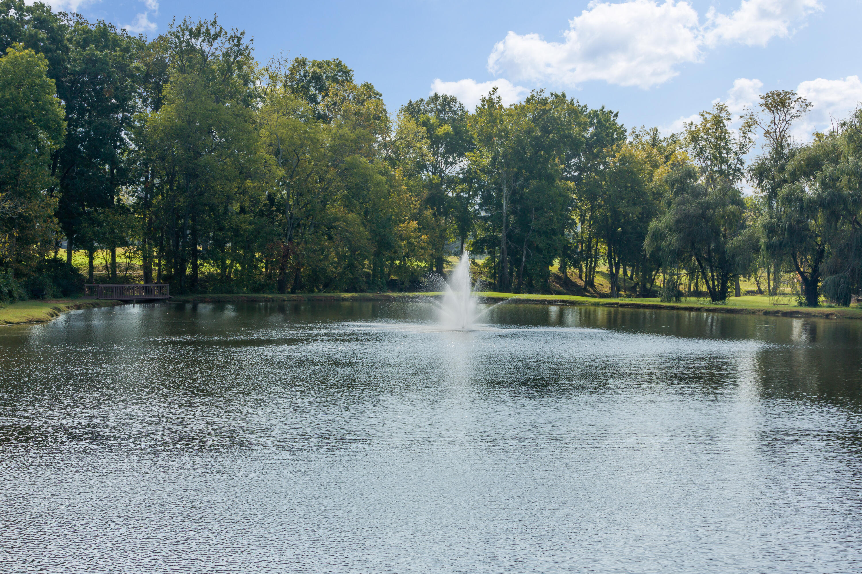9135 Tower Pines Cove