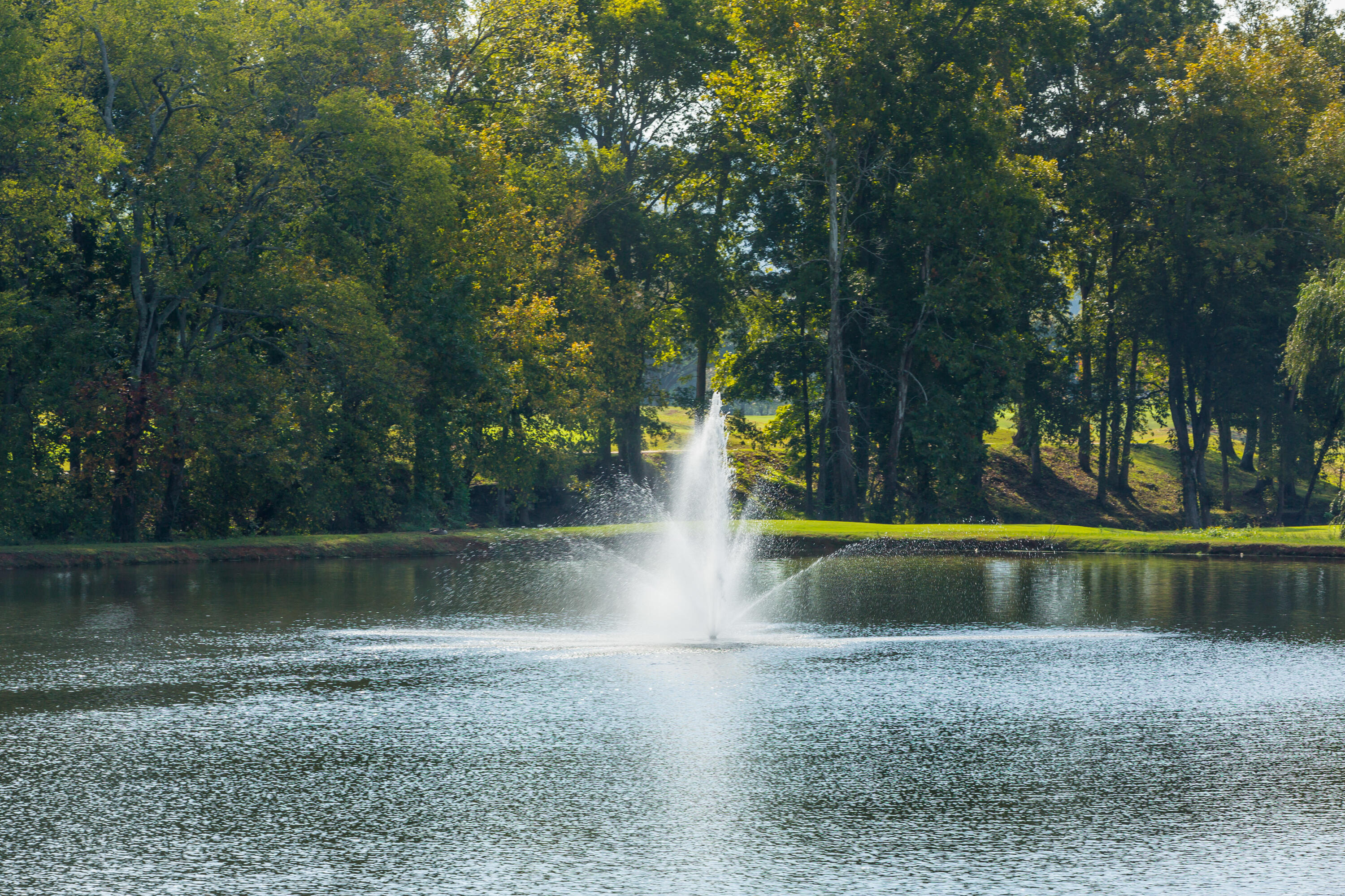 9135 Tower Pines Cove