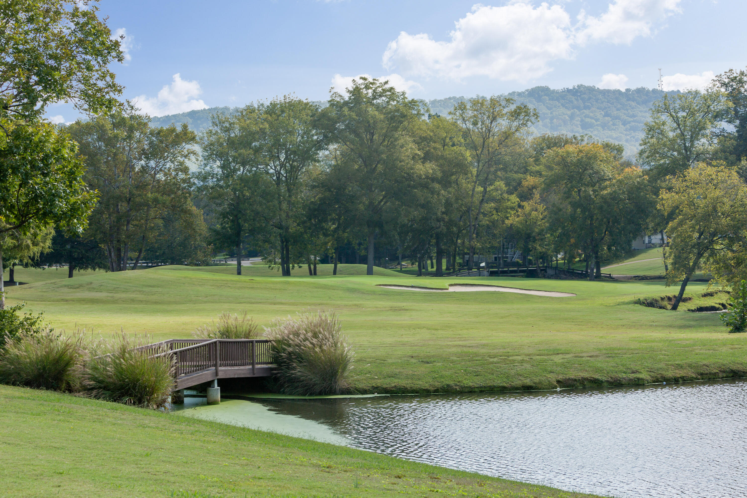 9135 Tower Pines Cove