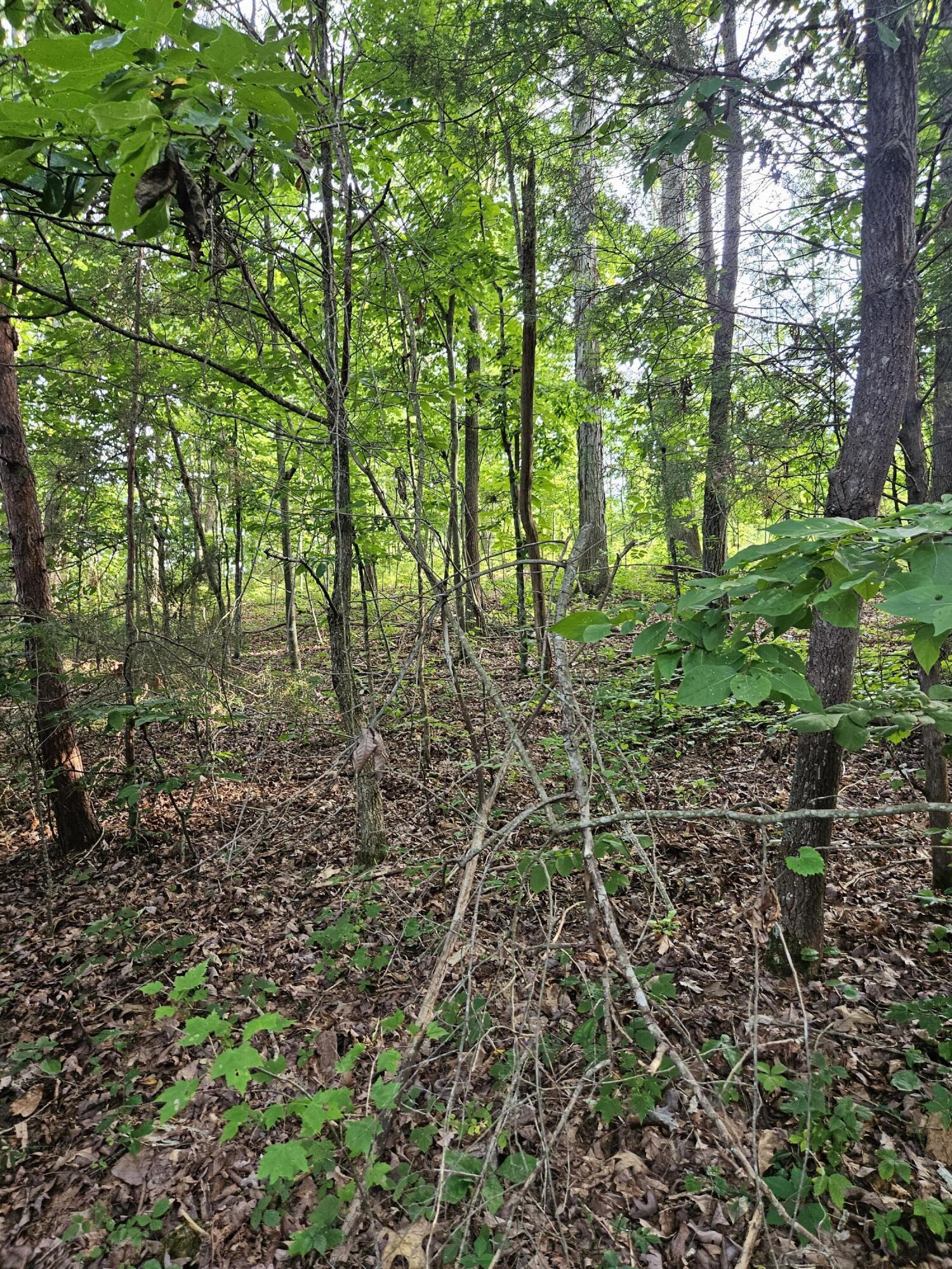 6627 Anderson Acres Drive