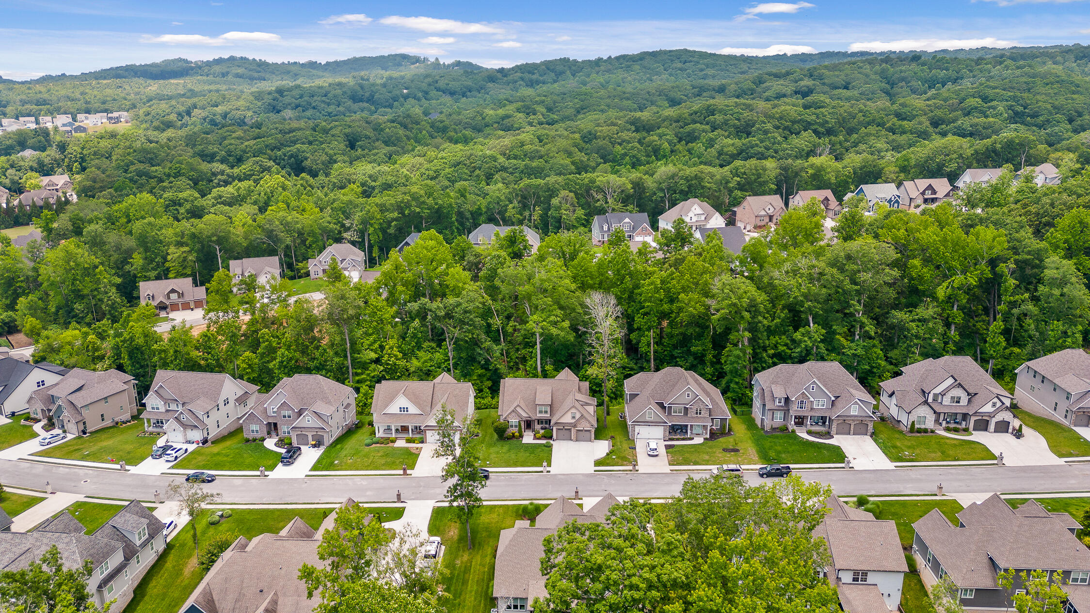 9452 Peppy Branch Trail